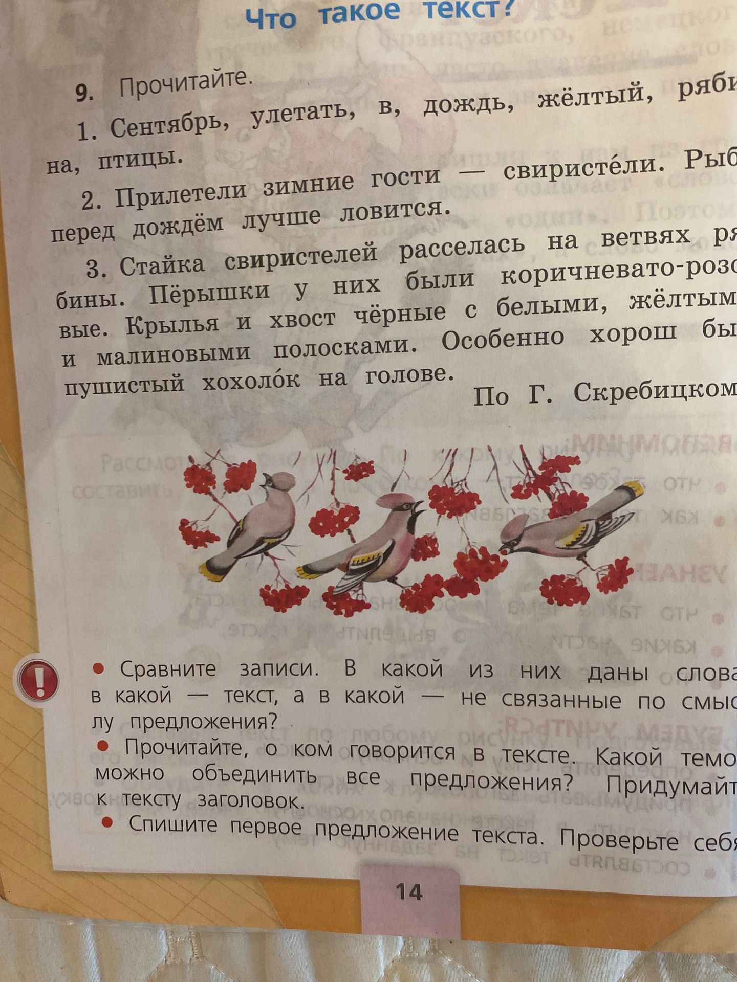 Фото задания: 1. Сентябрь, улетать, в, дождь, жёлтый, рябина, на, птицы. 2. Прилетели зимние гости — свиристели. Рыбы перед дождём лучше…