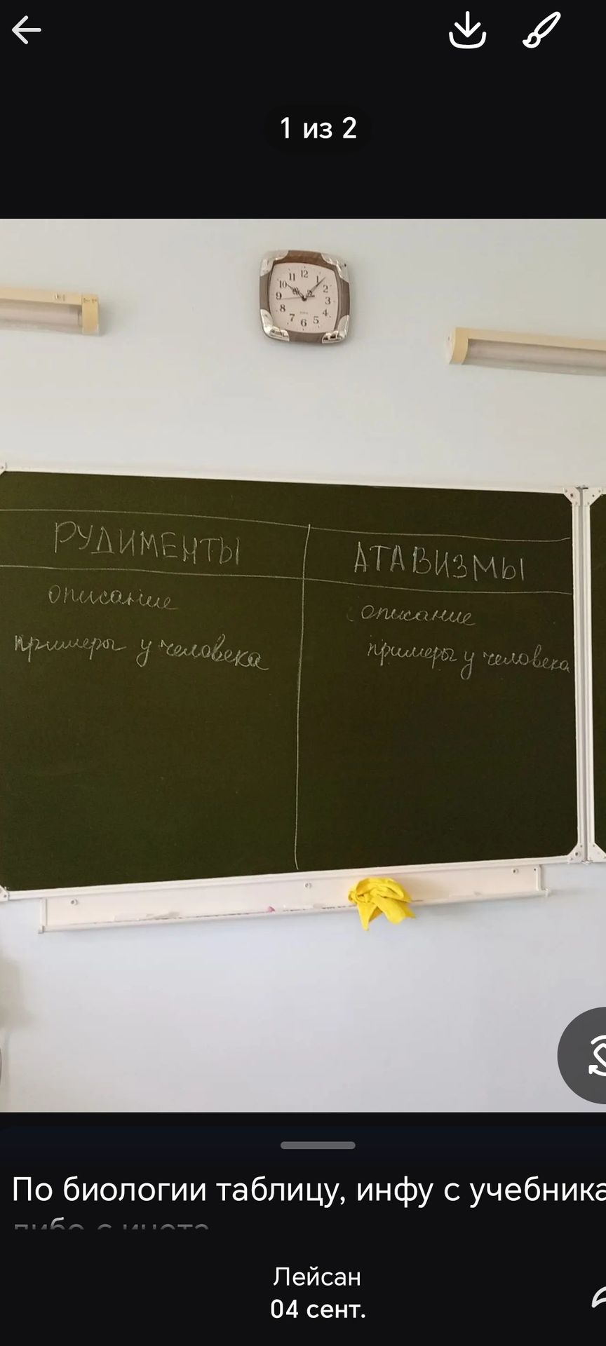 Фото задания: Заполнить таблицу: «Рудименты» и «Атавизмы»: описание, примеры у человека.