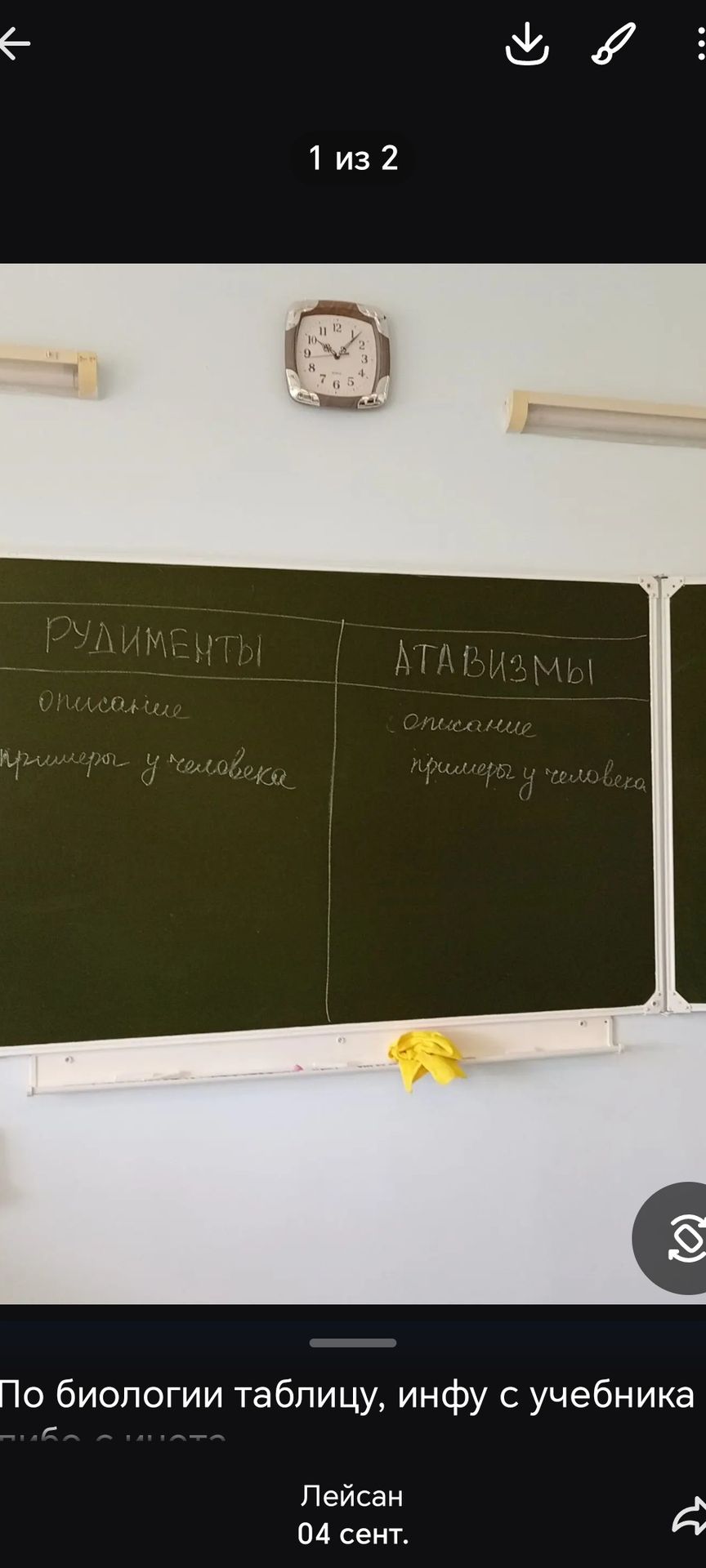 Фото задания: Заполнить таблицу: «Рудименты» и «Атавизмы». Указать описание и пример у человека.