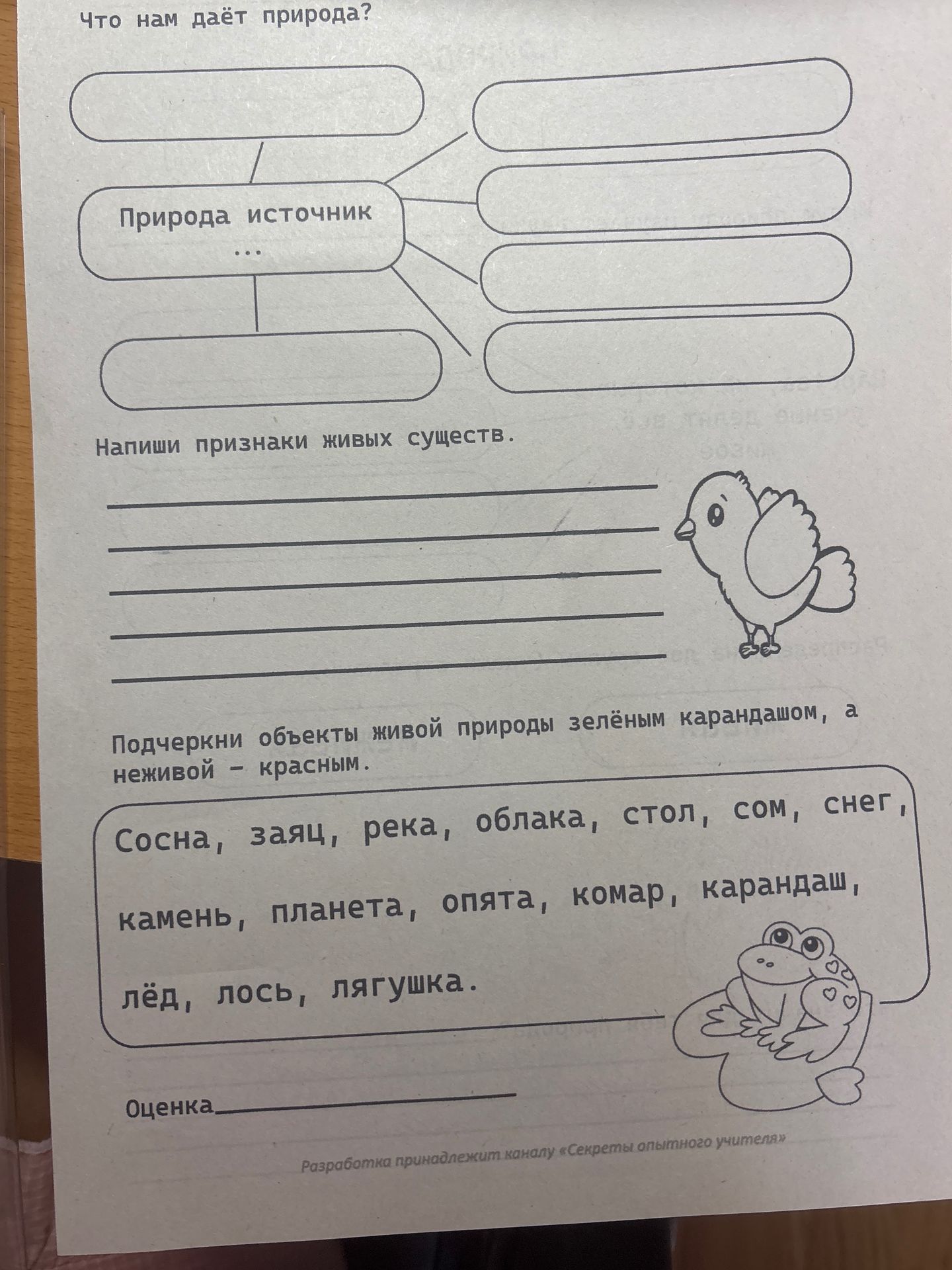 Фото задания: Напиши признаки живых существ.