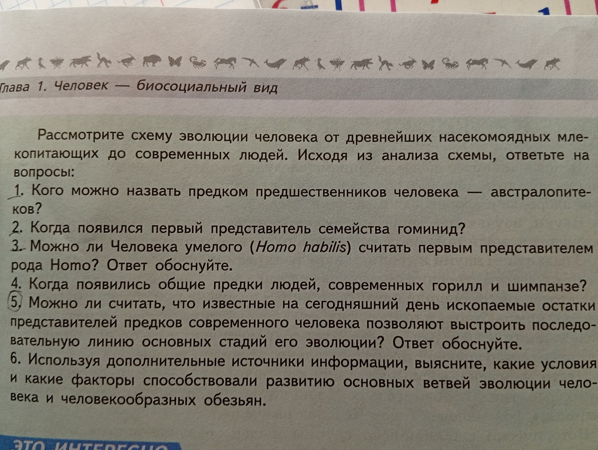 Фото задания: 4. Когда появились общие предки людей, современных горилл и шимпанзе?
