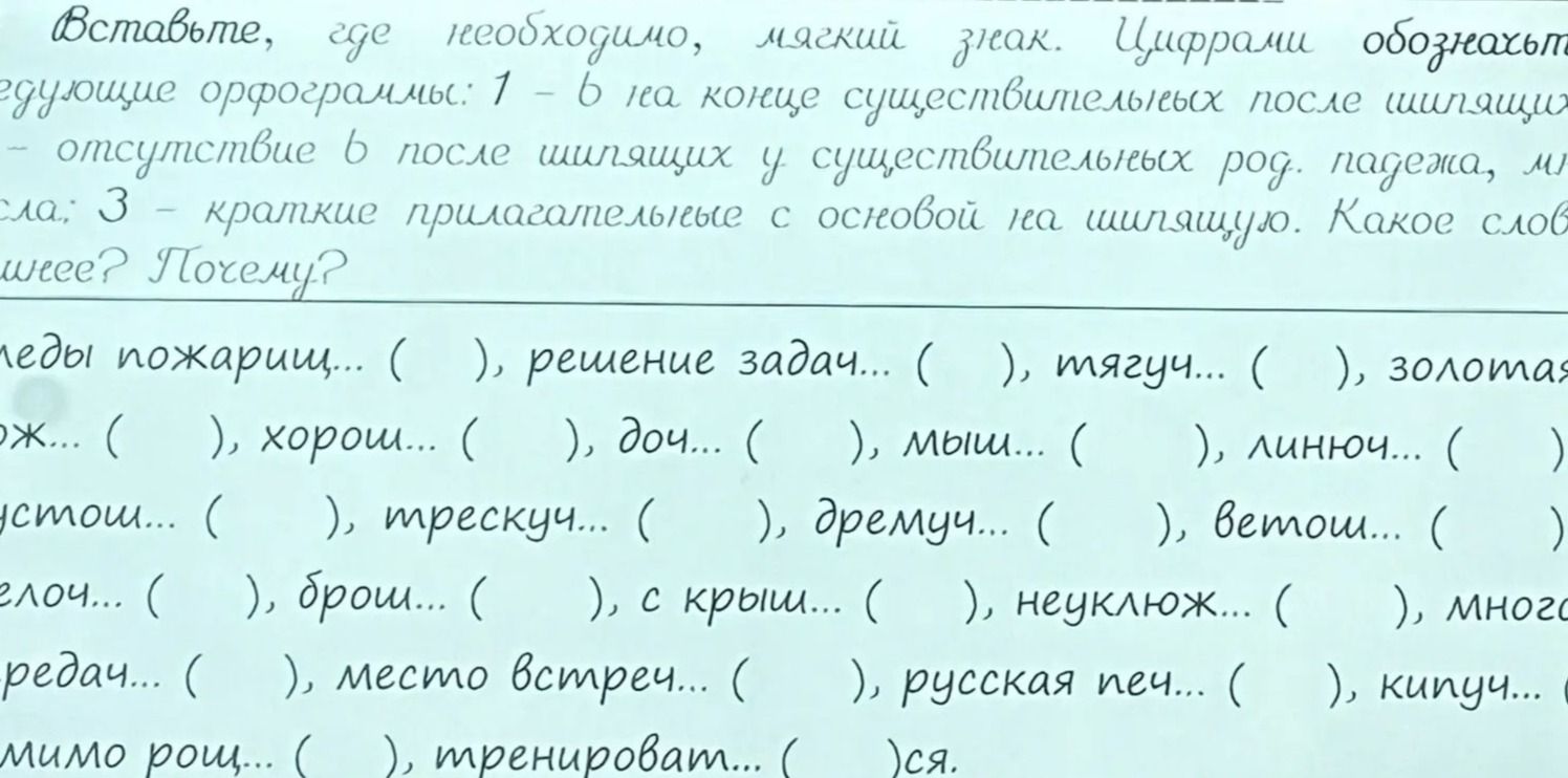 Фото задания: Вставьте, где необходимо, мягкий знак. Цифрами обозначьте следующие орфограммы: 1 — ь на конце существительных после шипящих;…