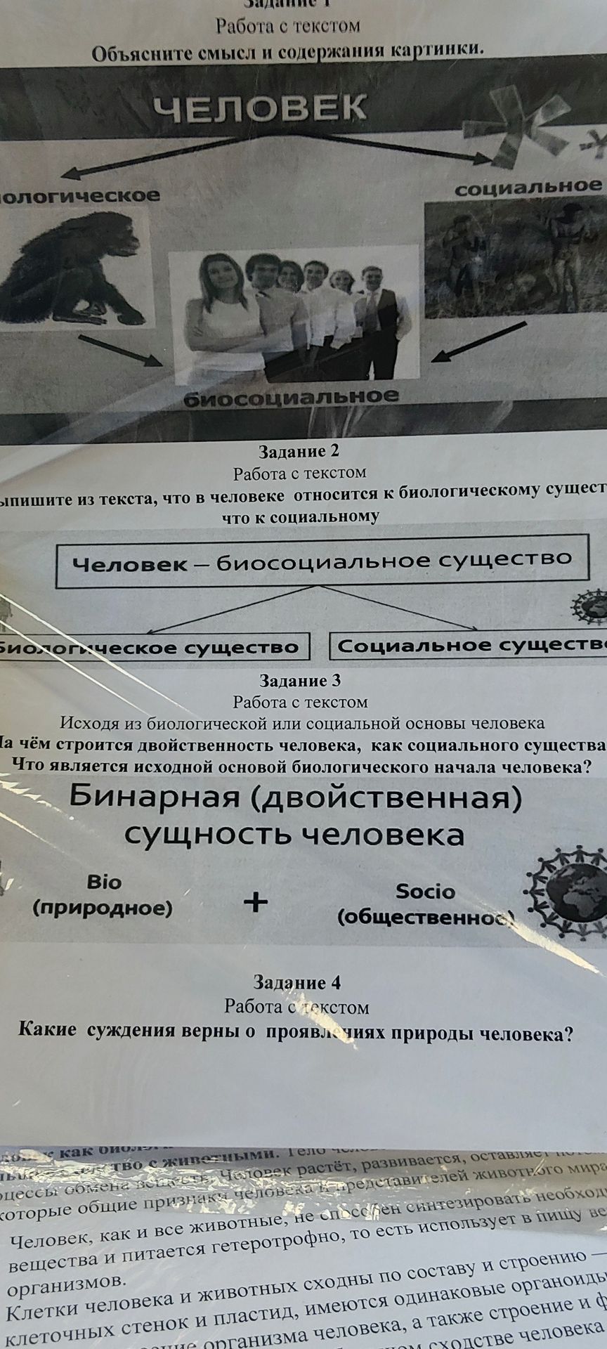 Фото задания: Задание 3. Исходя из биологической или социальной основы человека, на чём строится двойственность человека как социального…