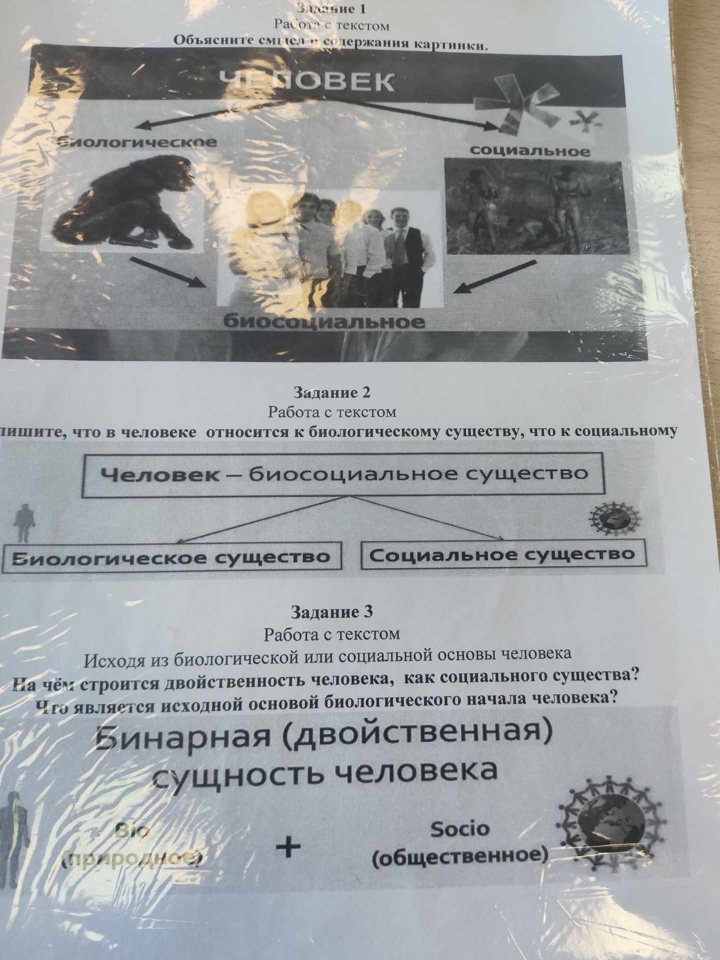 Фото задания: Задание 2. Напишите, что в человеке относится к биологическому существу, а что — к социальному.