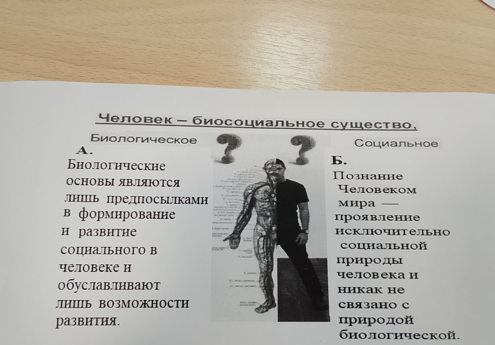 Фото задания: Человек — биосоциальное существо. Определите правильность суждений. А. Биологические основы являются лишь предпосылками в…
