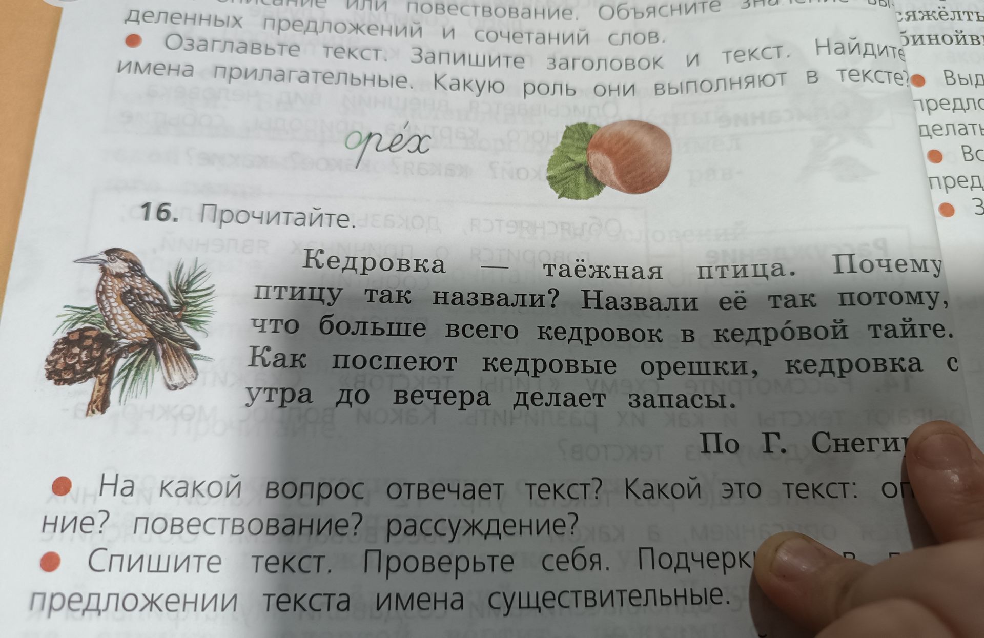Фото задания: 16. Прочитайте текст: «Кедровка — таёжная птица. Почему птицу так назвали? Назвали её так потому, что больше всего кедровок в…