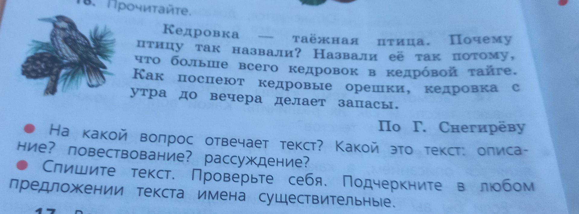 Фото задания: На какой вопрос отвечает текст? Какой это текст: описание, повествование или рассуждение? Спишите текст. Подчеркните в…