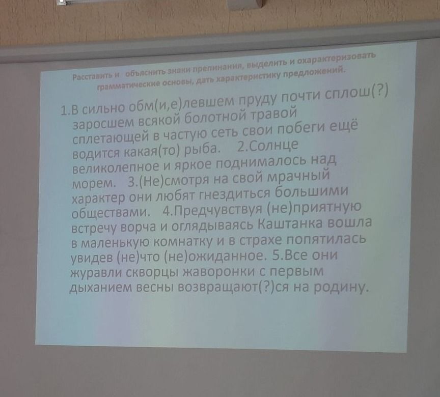 Фото задания: Расставить и объяснить знаки препинания, выделить и охарактеризовать грамматические основы, дать характеристику предложениям.…