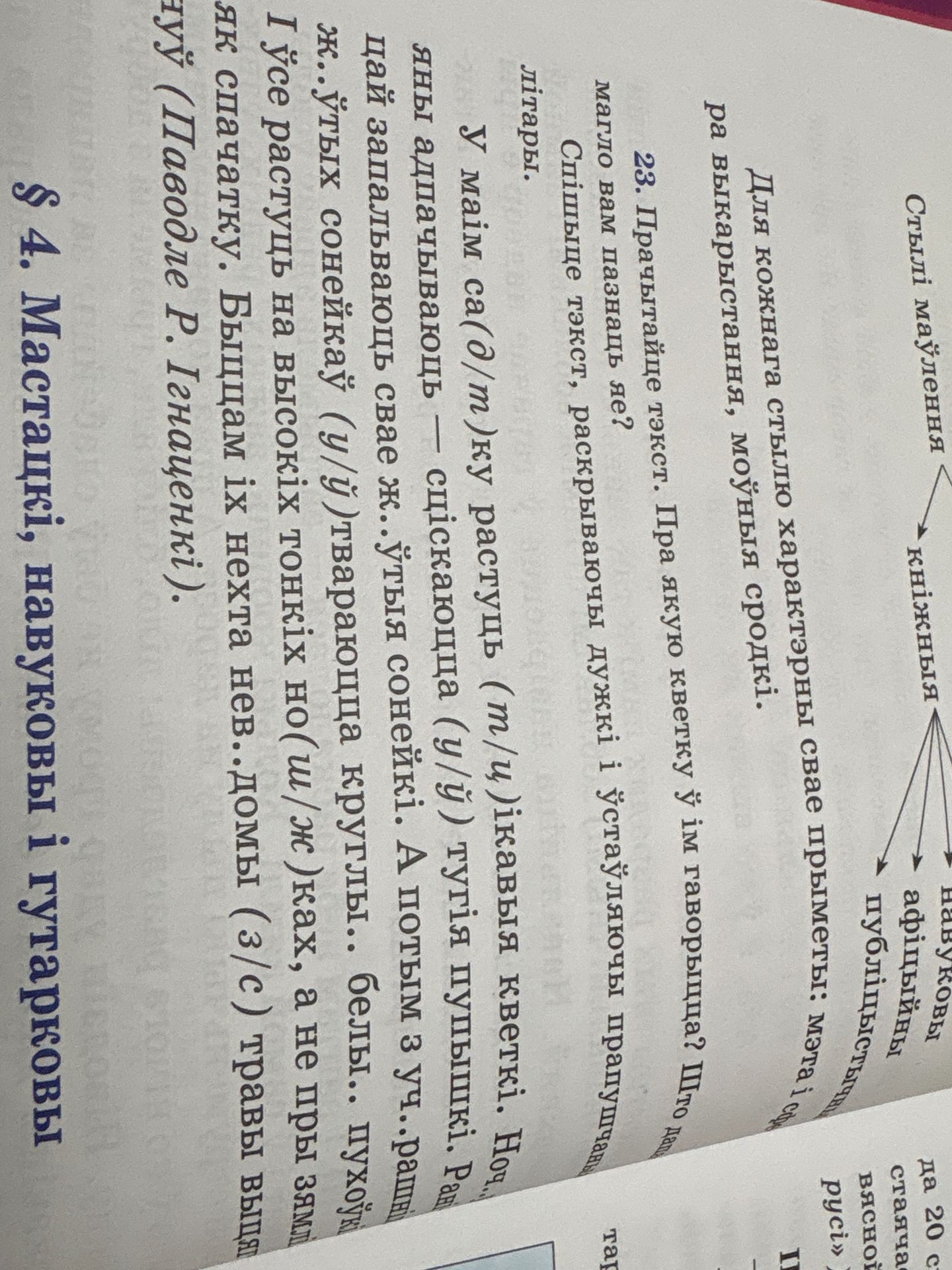Фото задания: 23. Прачы … тэкст. Пра якую кветку ў ім гаворыцца? Што …? Спішыце тэкст, раскрываючы дужкі і ўстаўляючы прапушчаныя літары. У…