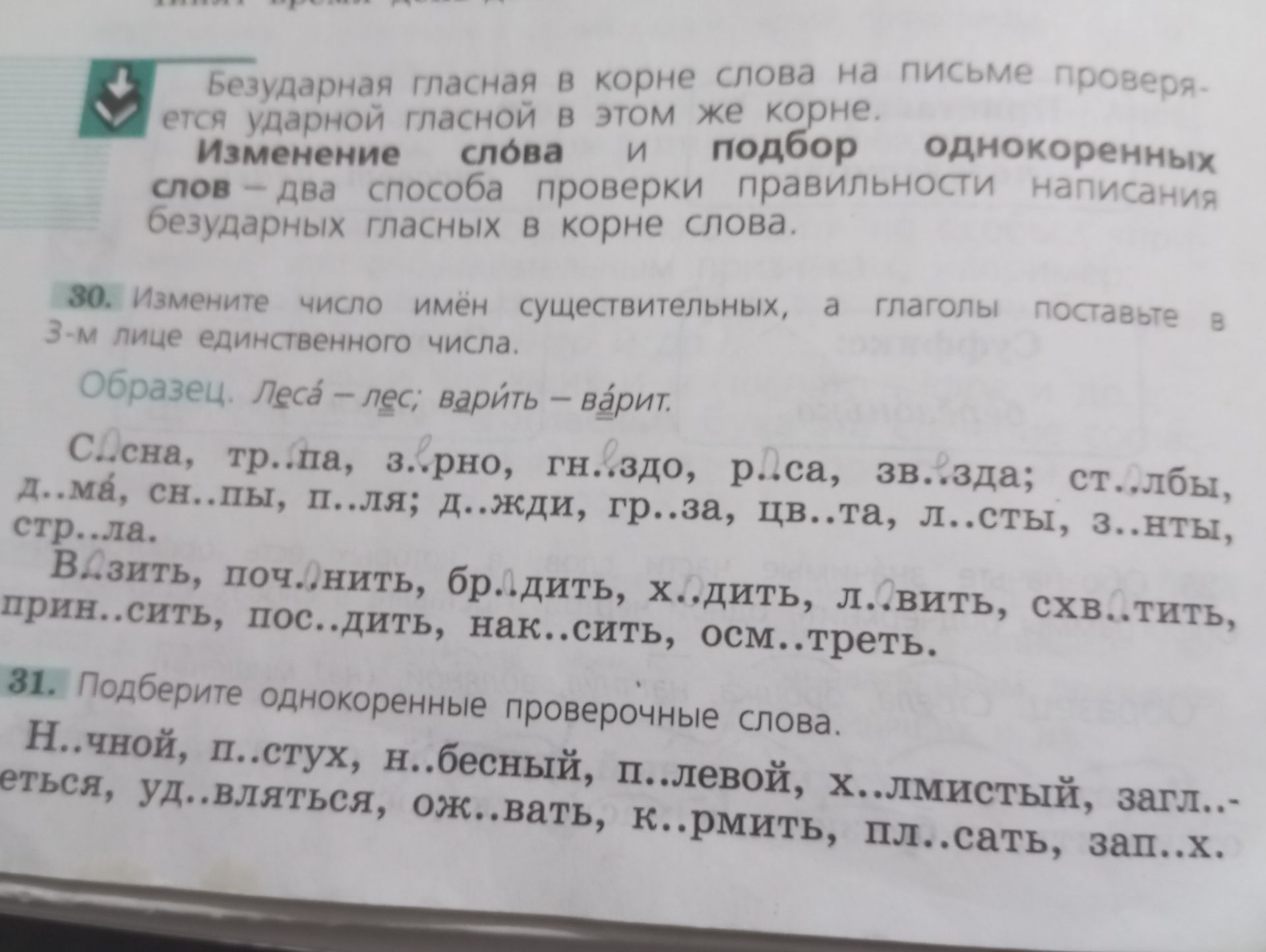 Фото задания: 30. Измените число имён существительных, а глаголы поставьте в 3-м лице единственного числа. Сосна, тропа, зерно, гнездо,…