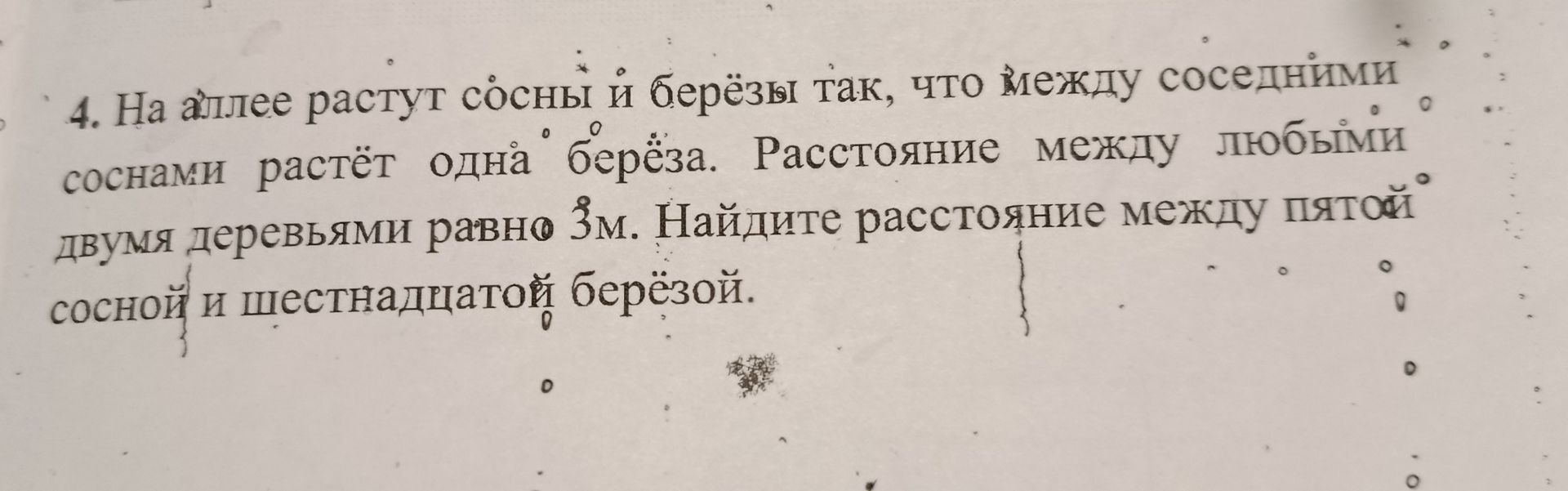 Фото задания: 4. На аллее растут сосны и берёзы так, что между соседними соснами растёт одна берёза. Расстояние между любыми двумя…