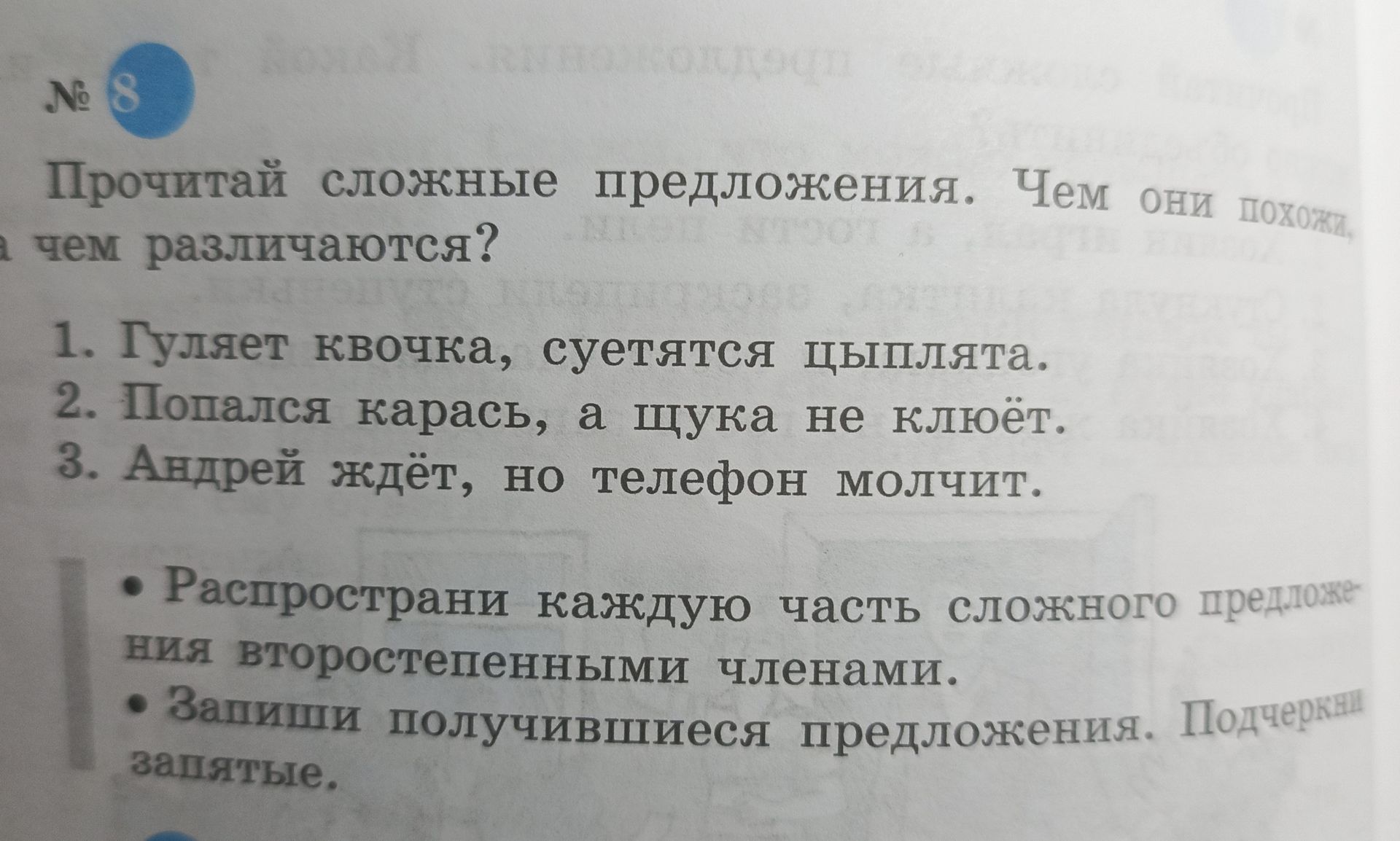 Фото задания: Прочитай сложные предложения. Чем они похожи и чем различаются? 1. Гуляет квочка, суетятся цыплята. 2. Попался карась, а щука…