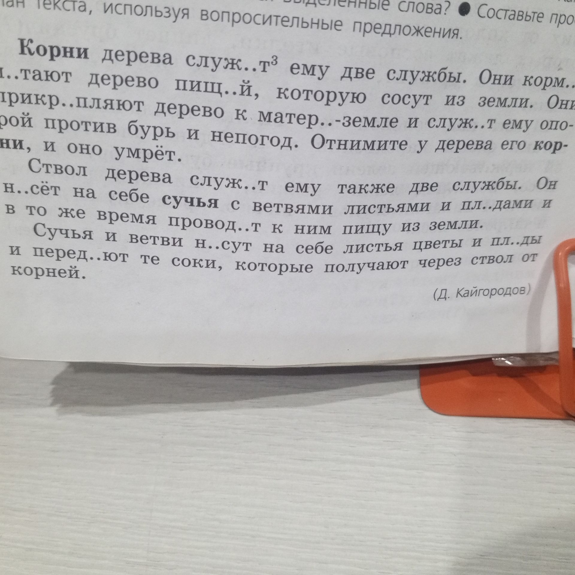 Фото задания: Вставьте пропущенные буквы в тексте: «Корни дерева служ..т ему две службы. Они корм..т дерево пищ..й, которую сосут из земли.…