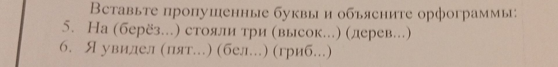 Фото задания: 5. На (берёз...) стояли три (высок...) (дерев...).