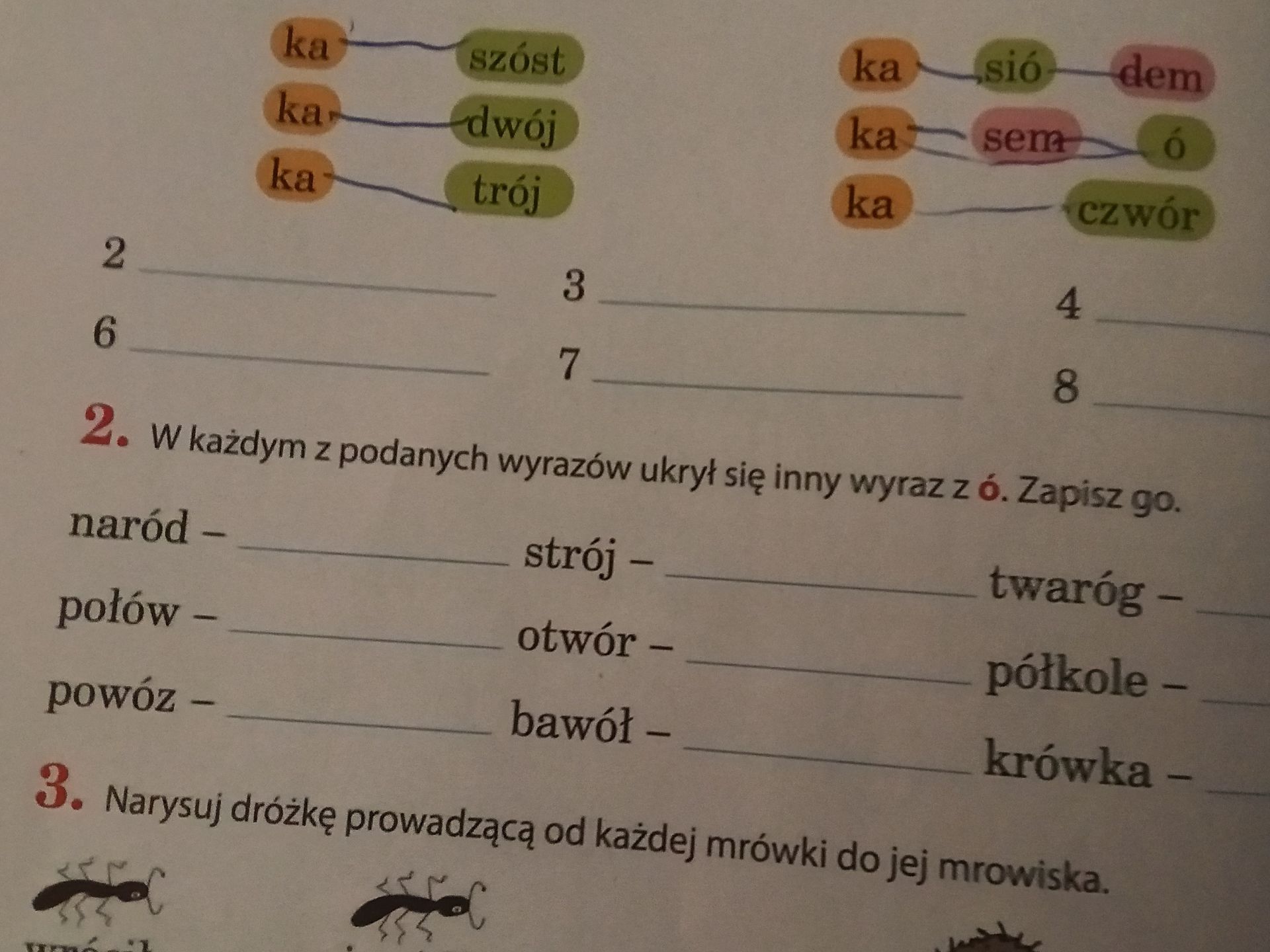 Фото задания: 3. Narysuj dróżkę prowadzącą od każdej mrówki do jej mrowiska.