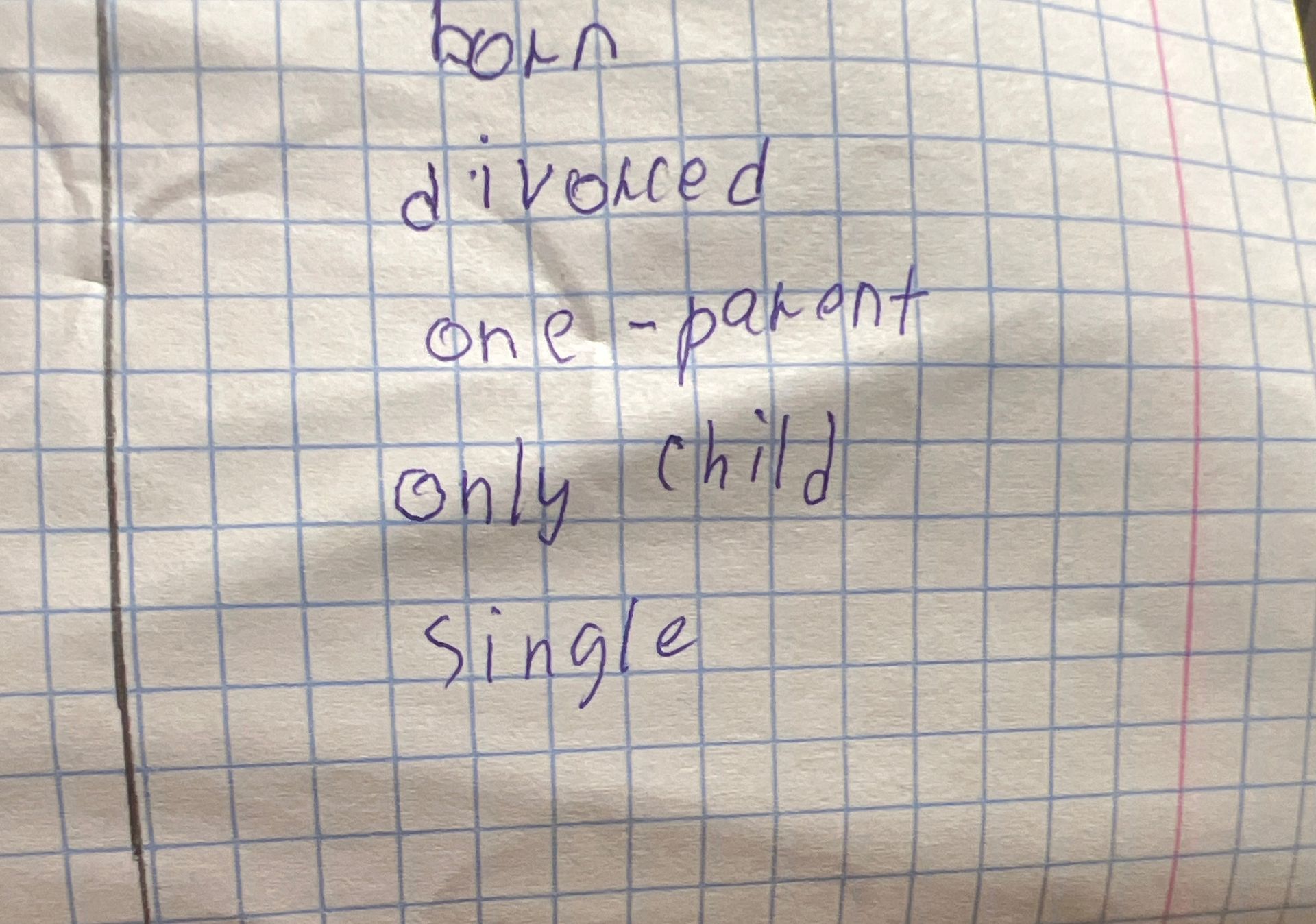 Фото задания: Текст на изображении: «divorced», «one-parent», «only child», «single».