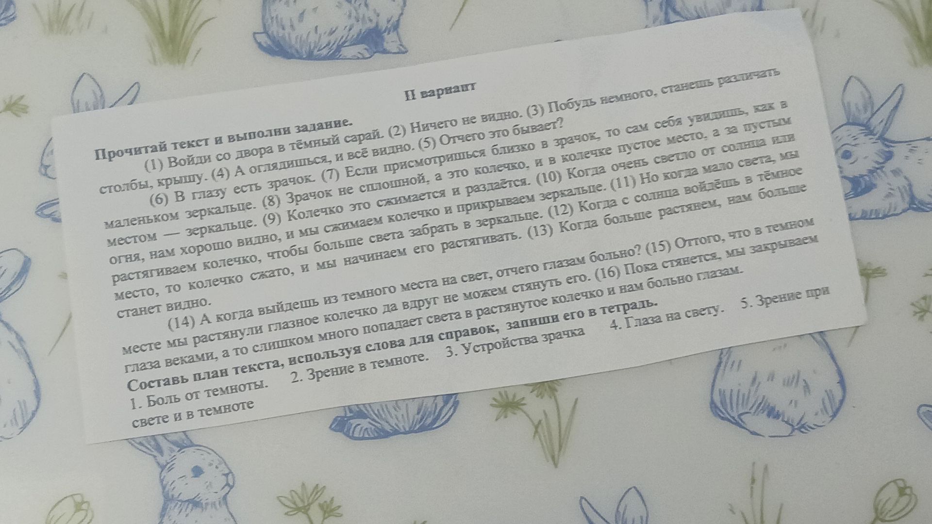 Фото задания: Составь план текста, используя слова для заголовка: 1. Боль от темноты. 2. Зрение в темноте. 3. Устройство зрачка. 4. Глаза…