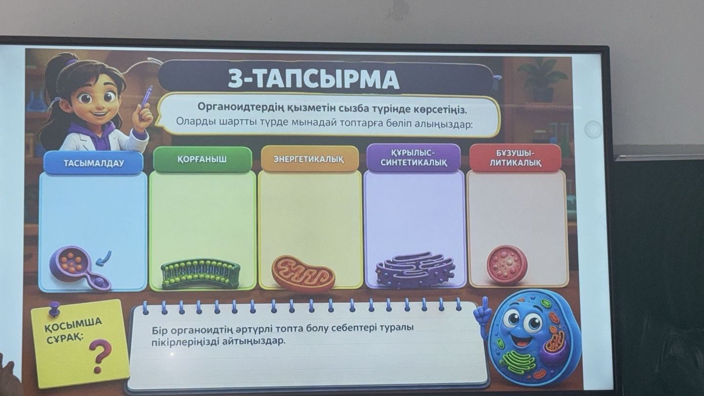 Фото задания: 3-тапсырма. Органоидтердің қызметін сызба түрінде көрсетіңіз. Оларды шартты түрде мынадай топтарға бөліп алыңыздар:…