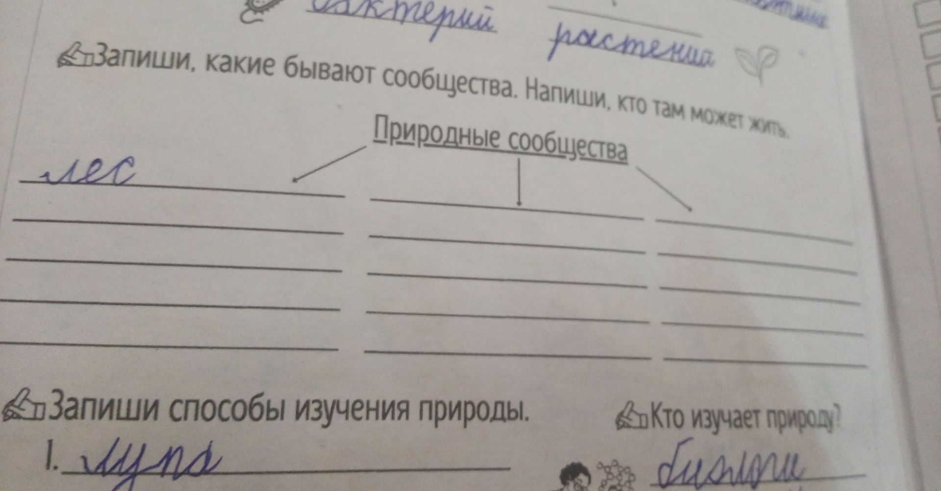 Фото задания: Запиши способы изучения природы. Кто изучает природу?