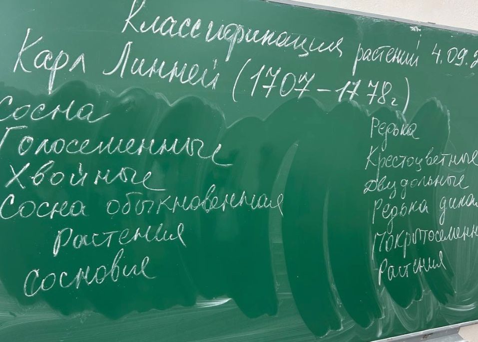 Фото задания: Текст на доске: «Карл Линней (1707–1778)». Упоминаются: «Голосеменные», «Хвойные», «Сосна обыкновенная», «Сосновые», а…