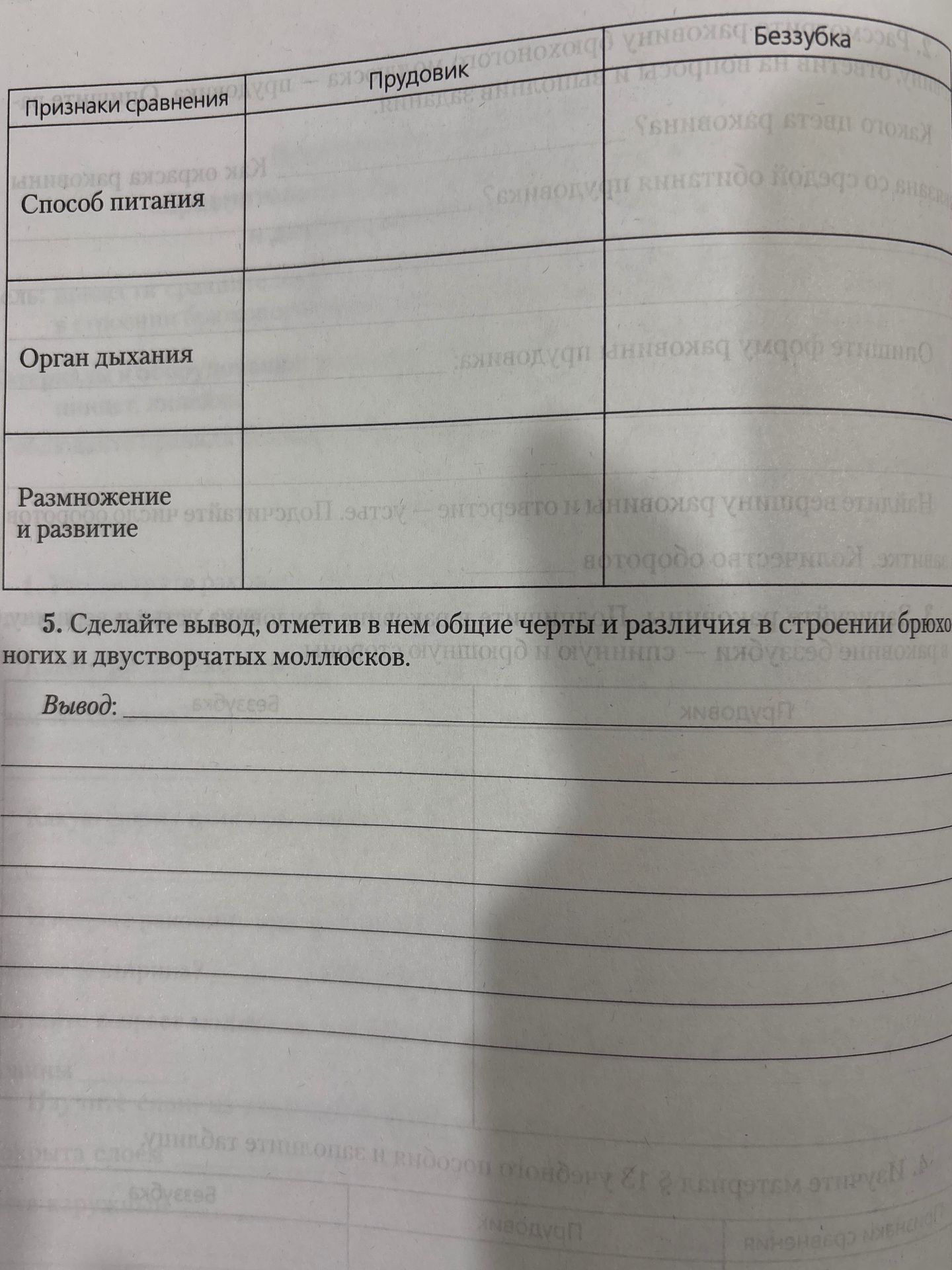 Фото задания: 5. Сделайте вывод, отметив в нем общие черты и различия в строении брюхоногих и двустворчатых моллюсков.