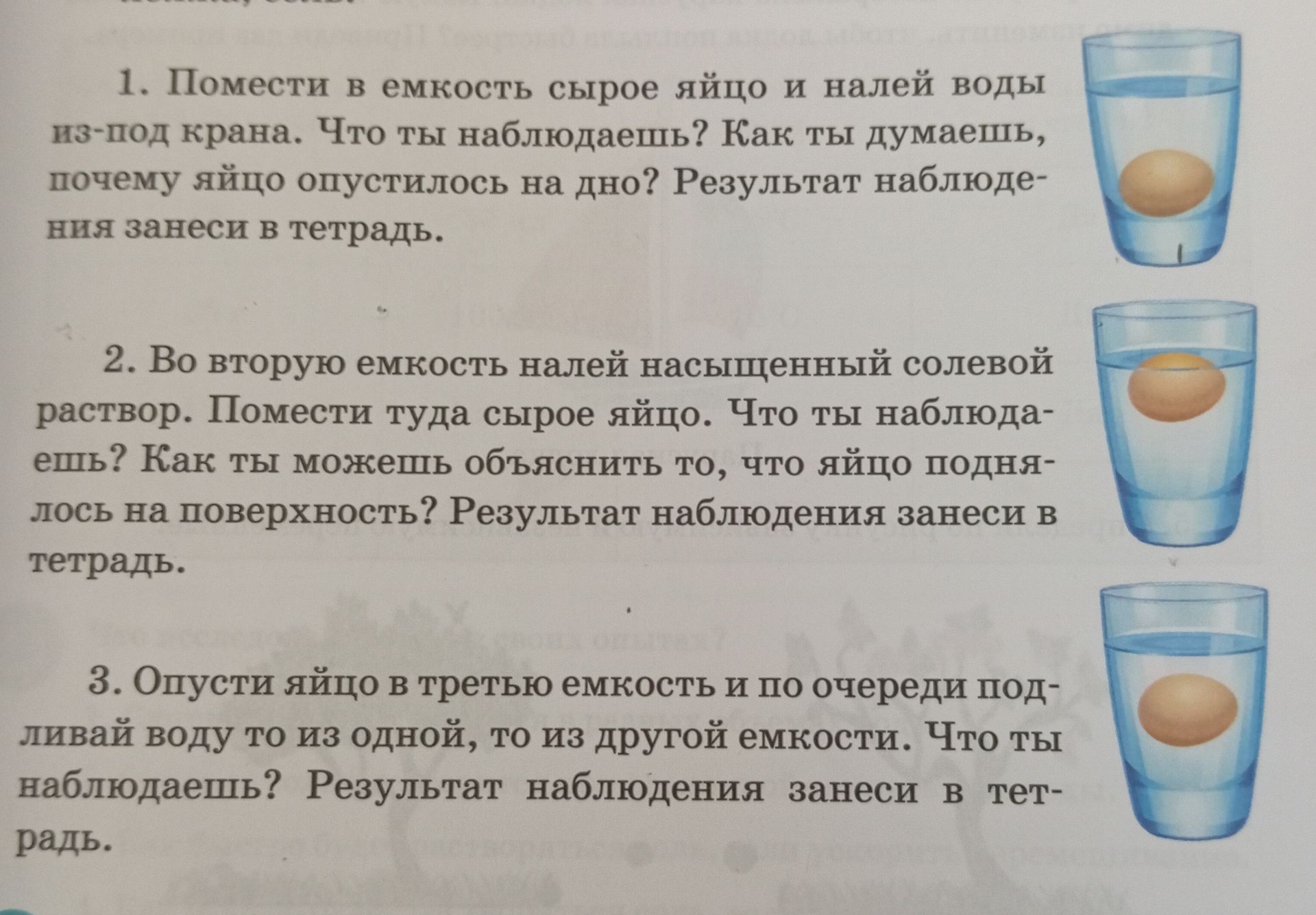 Фото задания: 1. Помести в емкость сырое яйцо и налей воды из-под крана. Что ты наблюдаешь? Как ты думаешь, почему яйцо опустилось на…