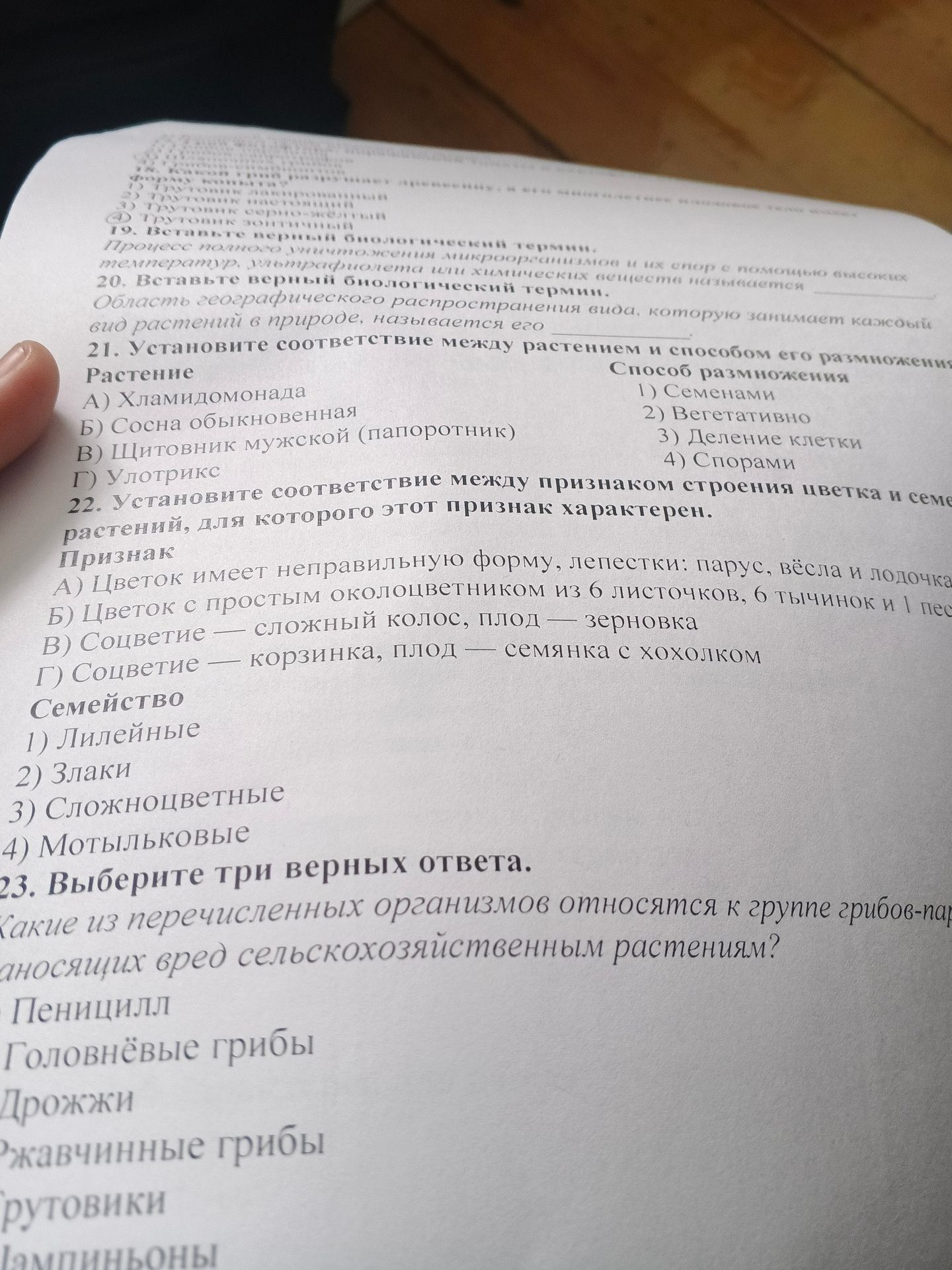 Фото задания: 21. Установите соответствие между растением и способом его размножения. Растения: А) Хламидомонада; Б) Сосна обыкновенная; В)…