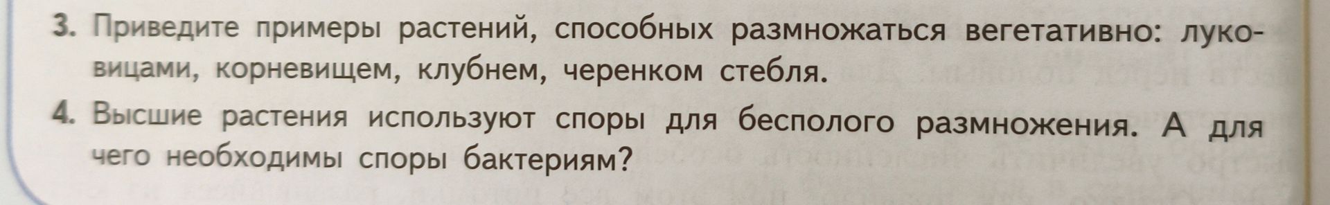 Фото задания: 3. Приведите примеры растений, способных размножаться вегетативно: луковицами, корневищем, клубнем, черенком стебля.