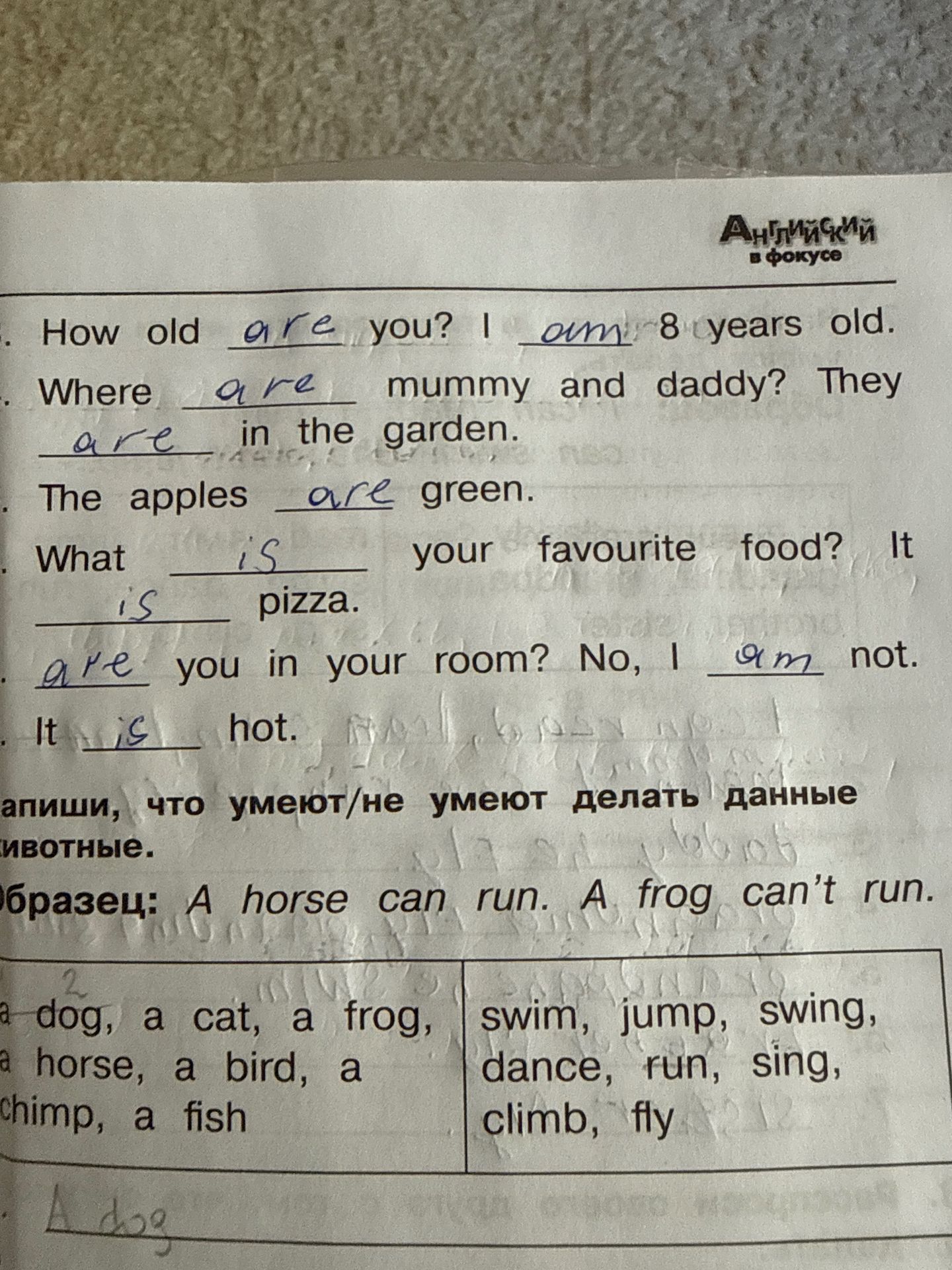 Фото задания: How old ___ you? I ___ 8 years old. Where ___ mummy and daddy? They ___ in the garden. The apples ___ green. What ___ your…