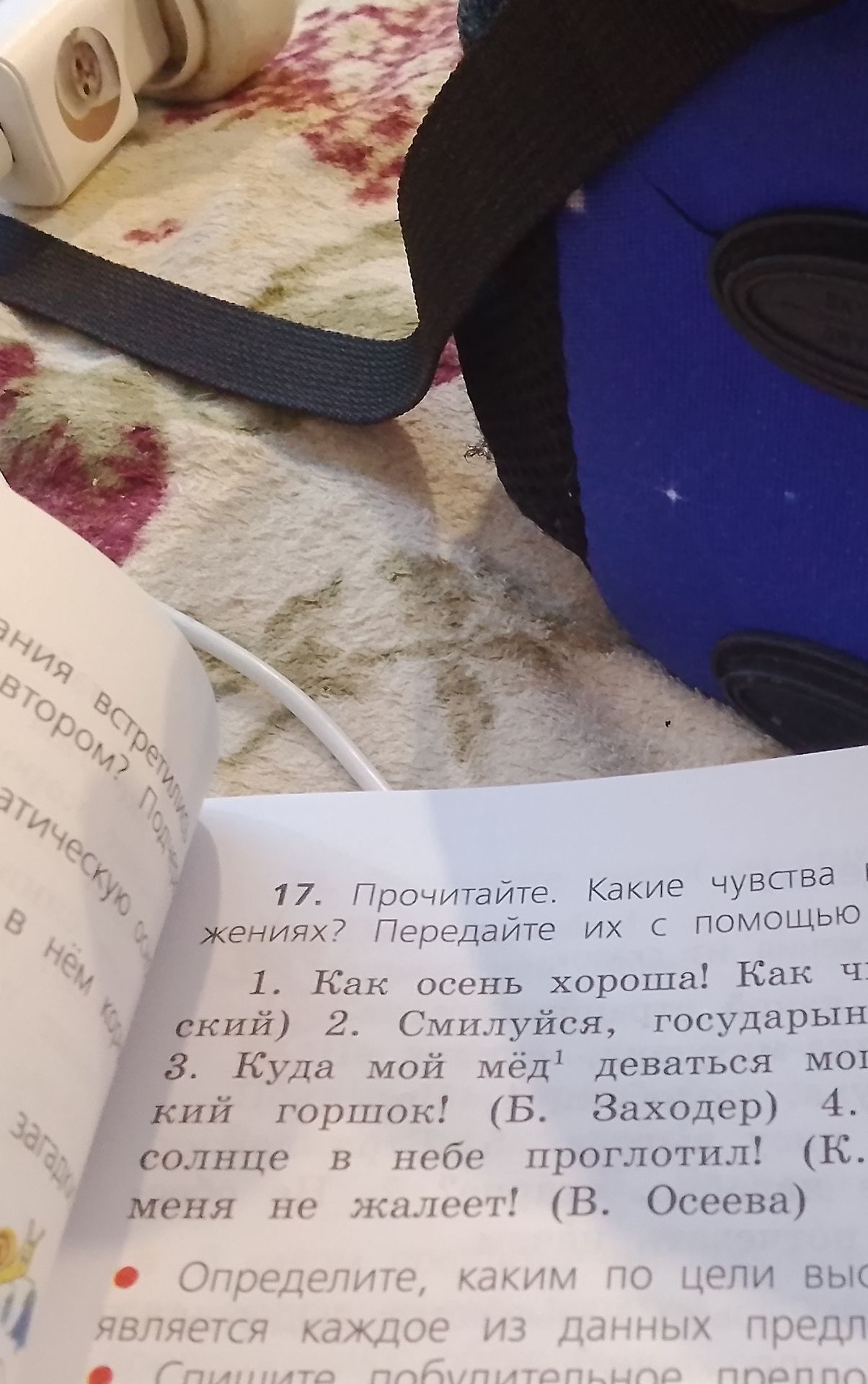 Фото задания: 17. Прочитайте. Какие чувства выражены в предложениях? Передайте их с помощью интонации. 1. Как осень хороша! 2. Смилуйся,…