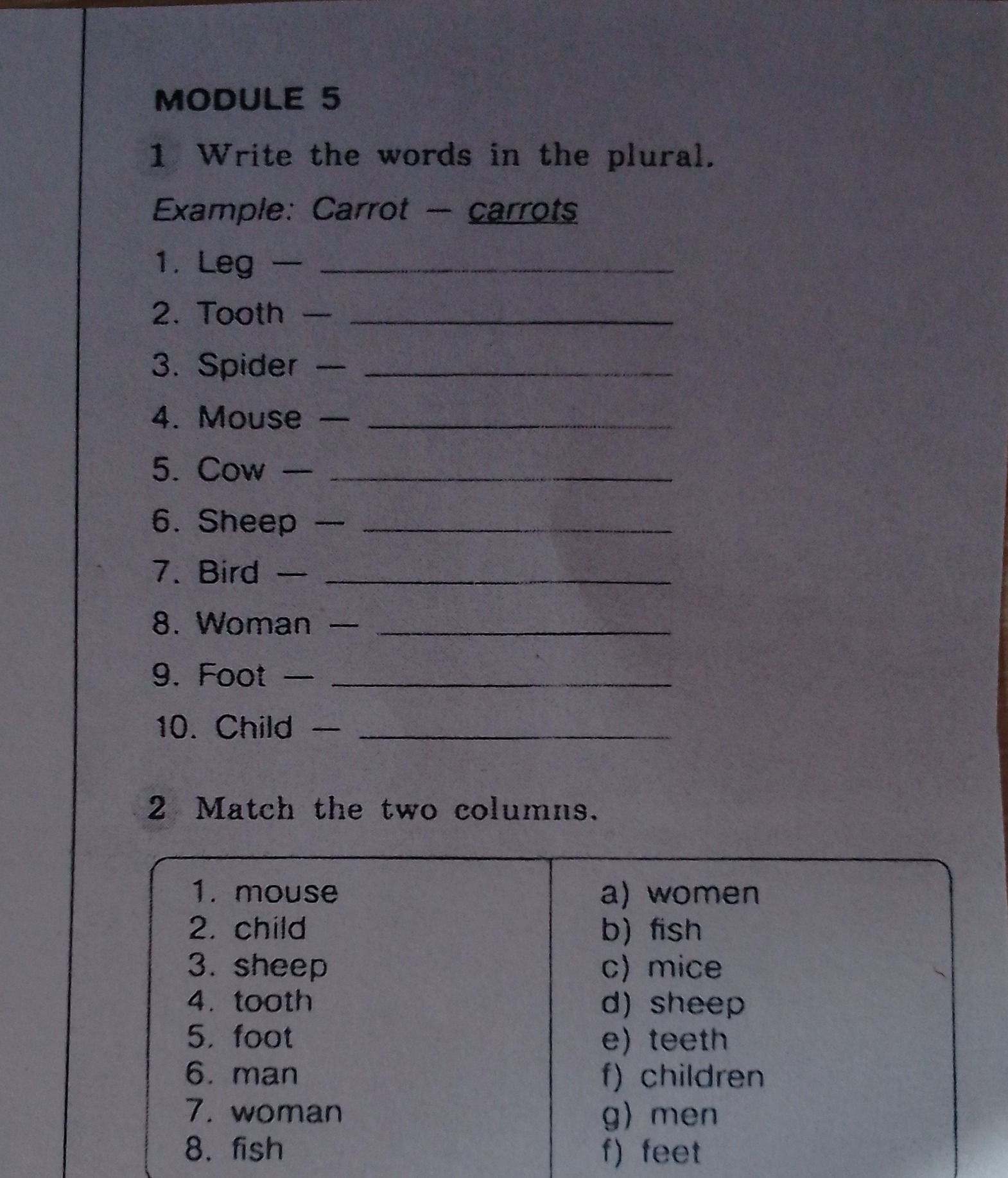 Фото задания: 1. Write the words in the plural. 1. Leg — 2. Tooth — 3. Spider — 4. Mouse — 5. Cow — 6. Sheep — 7. Bird — 8. Woman — 9. Foot…