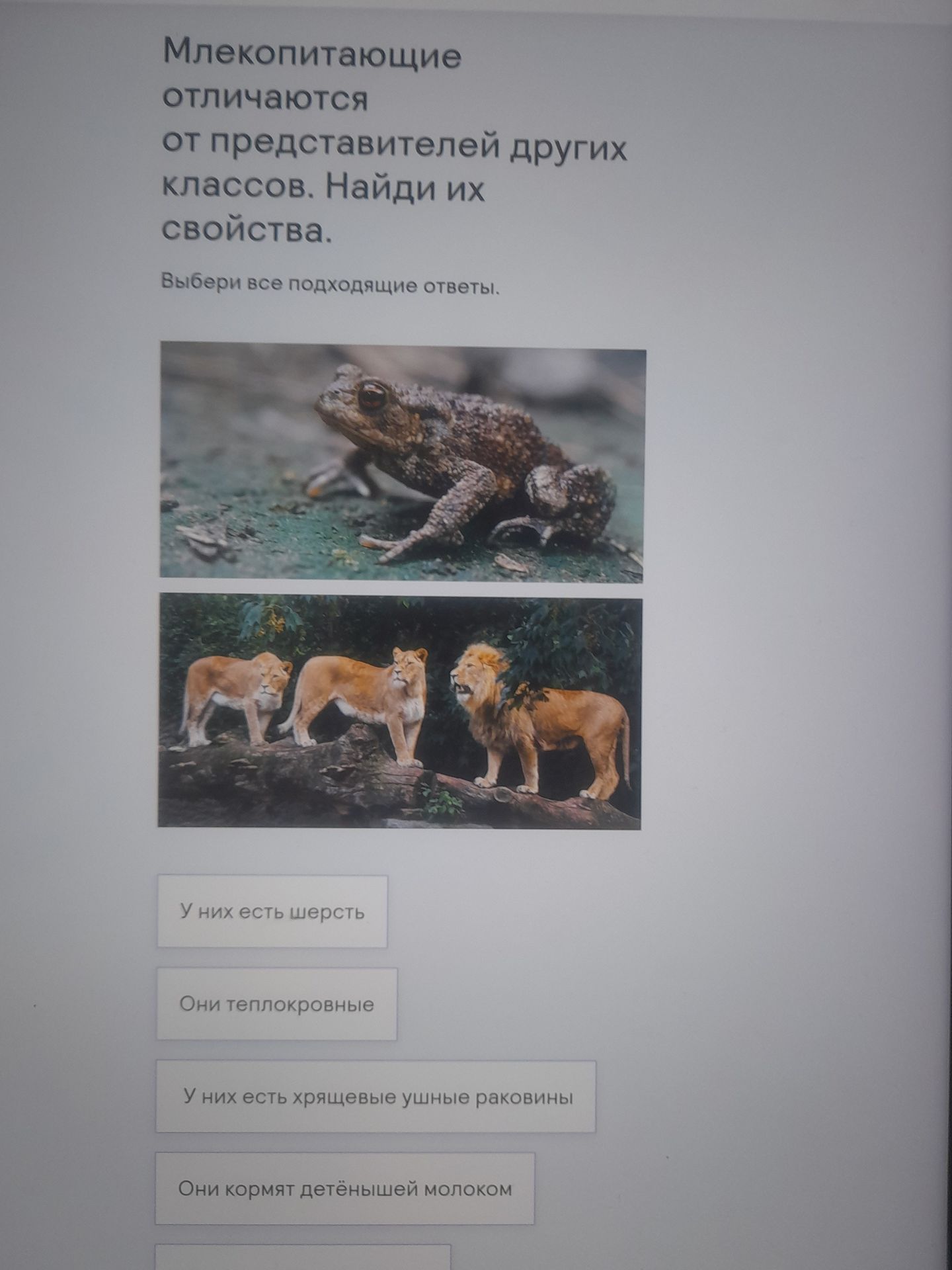Фото задания: Млекопитающие отличаются от представителей других классов. Найди их свойства. Выбери все подходящие ответы: «У них есть…