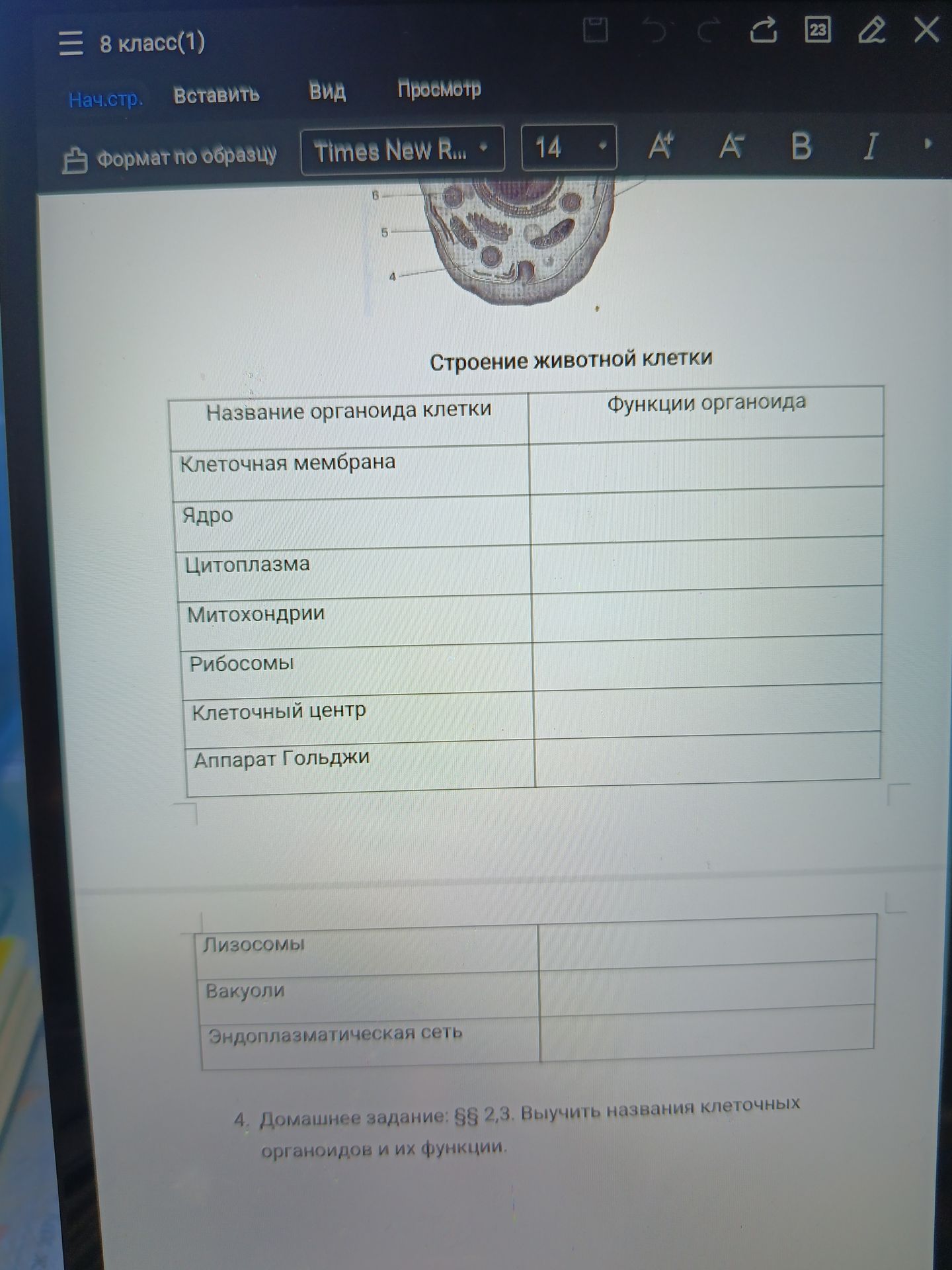Фото задания: Заполнить таблицу «Строение животной клетки»: указать функции клеточной мембраны, ядра, цитоплазмы, митохондрий, рибосом,…