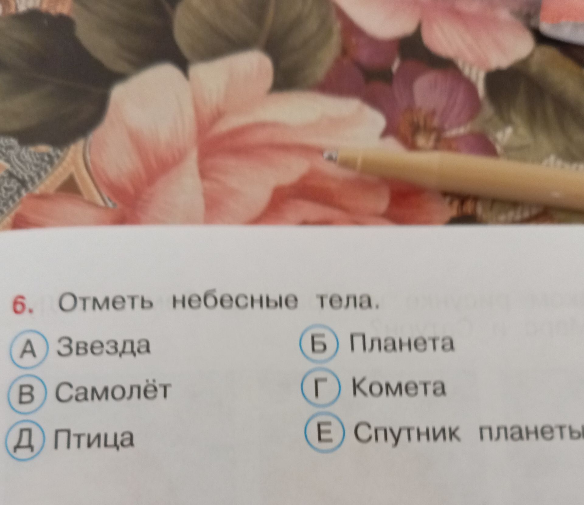 Фото задания: 6. Отметь небесные тела. А) Звезда; Б) Планета; В) Самолёт; Г) Комета; Д) Птица; Е) Спутник планеты.