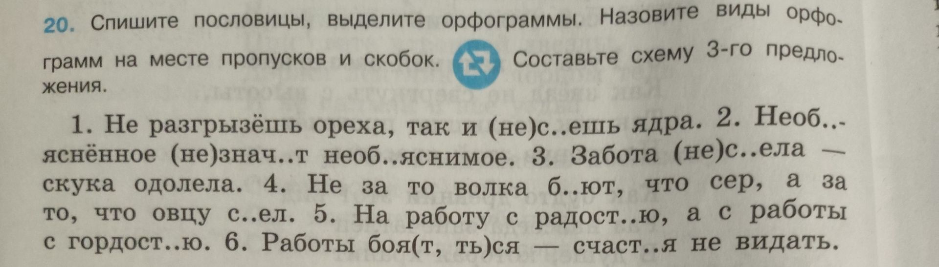 Фото задания: 1. Не разгрызёшь ореха, так и (не)с...ешь ядра.
