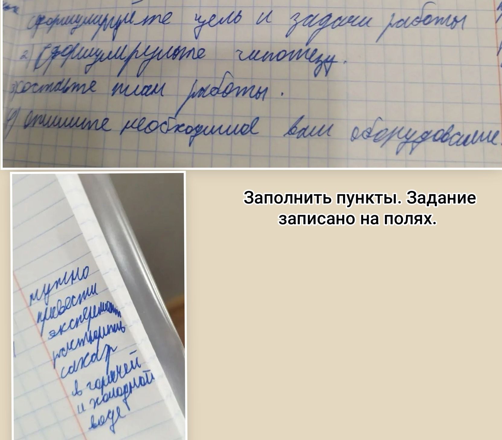 Фото задания: 1. Сформулируйте цель и задачи работы. 2. Сформулируйте гипотезу. 3. Составьте план работы. 4. Опишите необходимое…