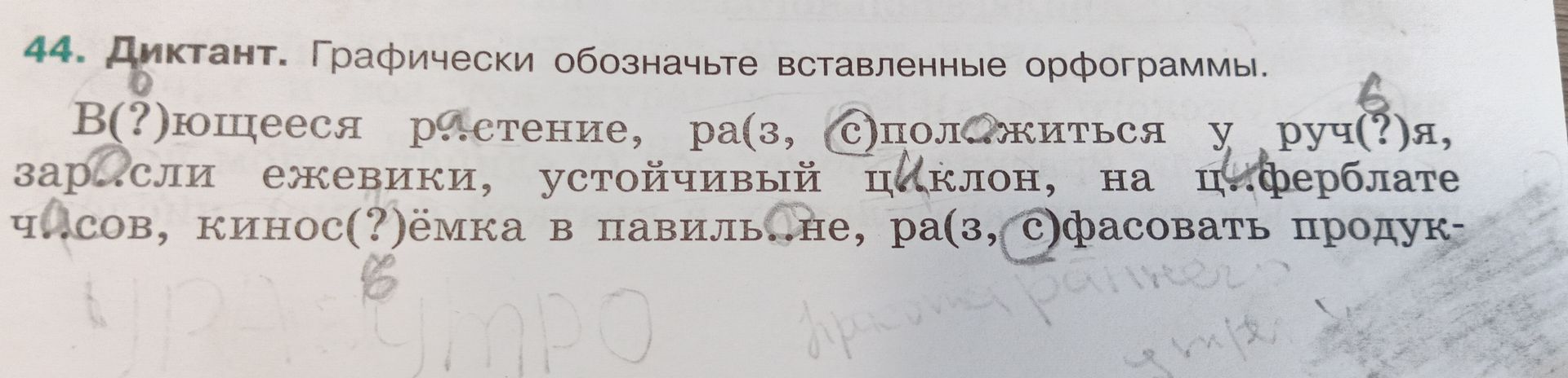 Фото задания: 44. Диктант. Графически обозначьте вставленные орфограммы. В(?)ющееся растение, ра(з, с)(с)положиться у руч(?)я, зар(?)сли…