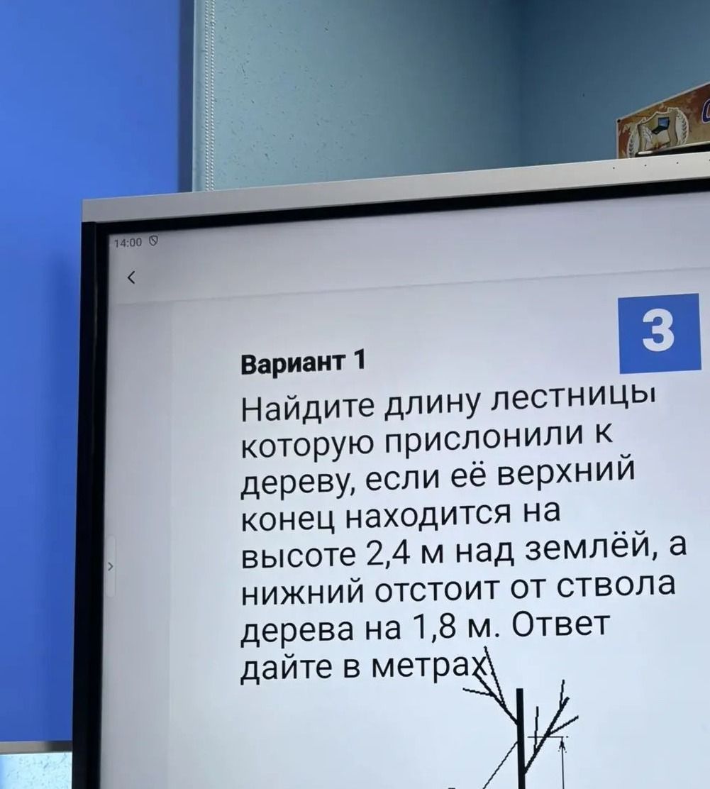 Фото задания: Вариант 1. Найдите длину лестницы, которую прислонили к дереву, если её верхний конец находится на высоте 2,4 м над землёй, а…