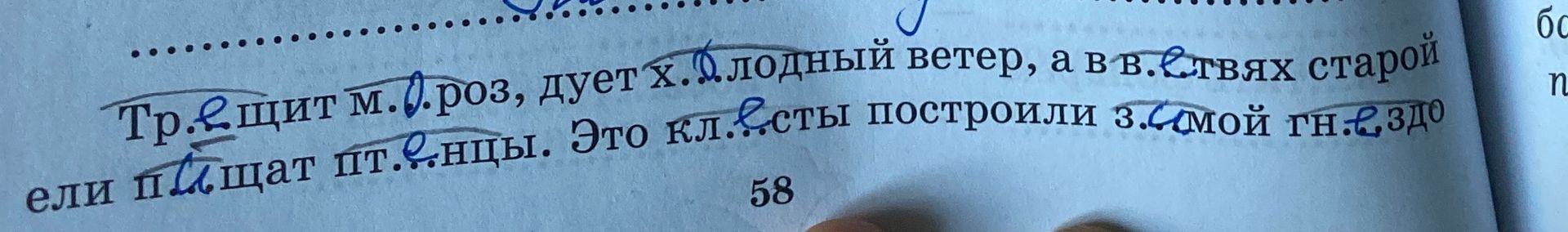 Фото задания: Тр…щит м…роз, дует х…лодный ветер, а в в…твях старой ели п…щат пт…нцы. Это кл…сты построили з…мой гн…здо.
