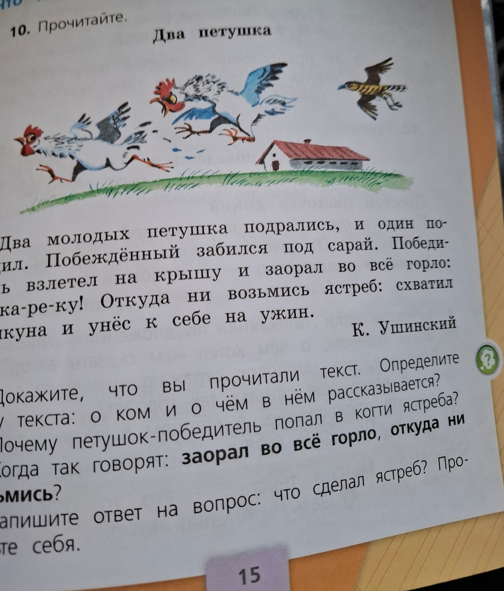 Фото задания: 10. Прочитайте текст «Два петушка». Покажите, что вы прочитали текст. Определите тему текста: о ком и о чём в нём…