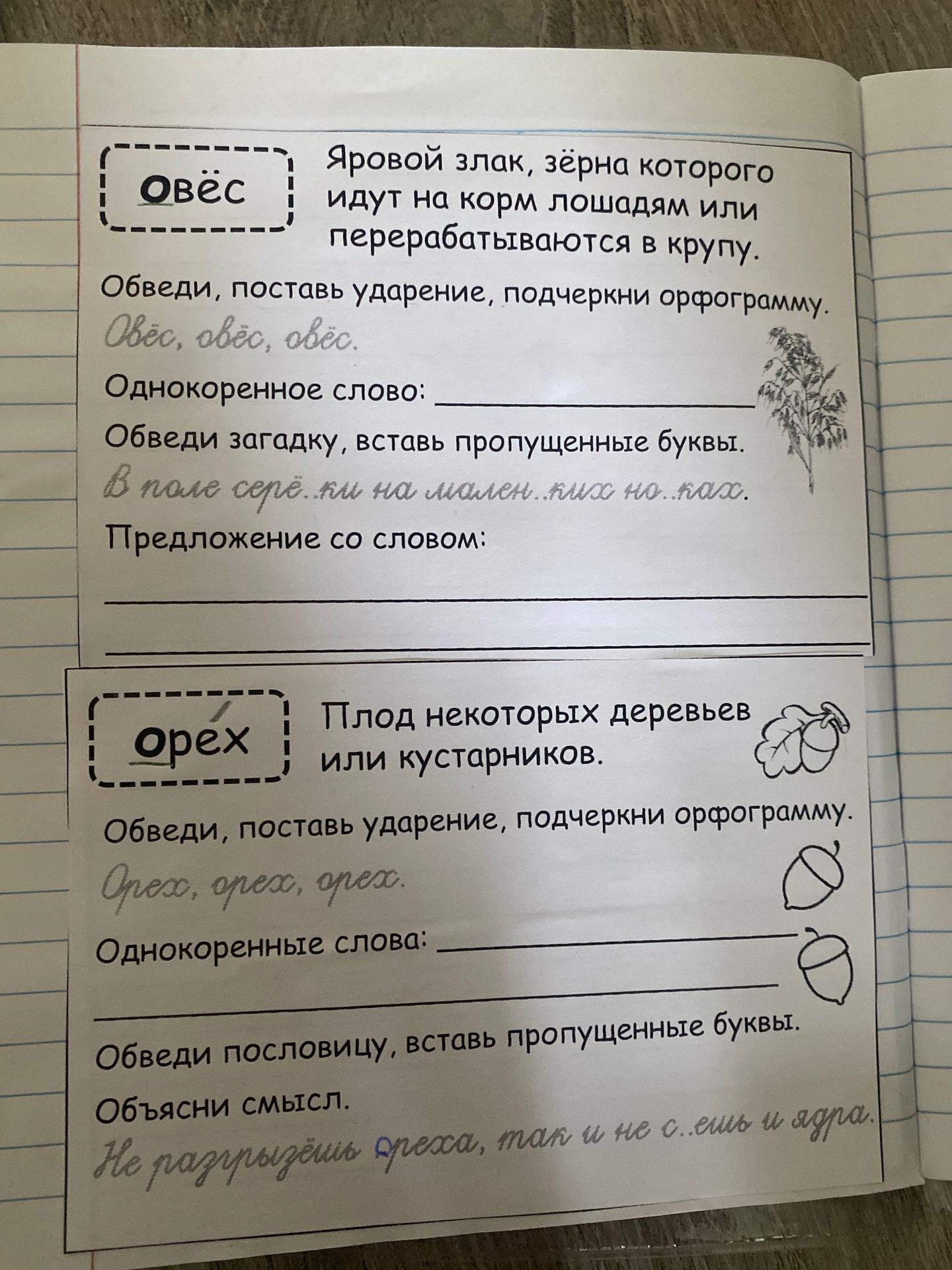 Фото задания: Овёс. Яровой злак, зёрна которого идут на корм лошадям или перерабатываются в крупу. Обведи, поставь ударение, подчеркни…