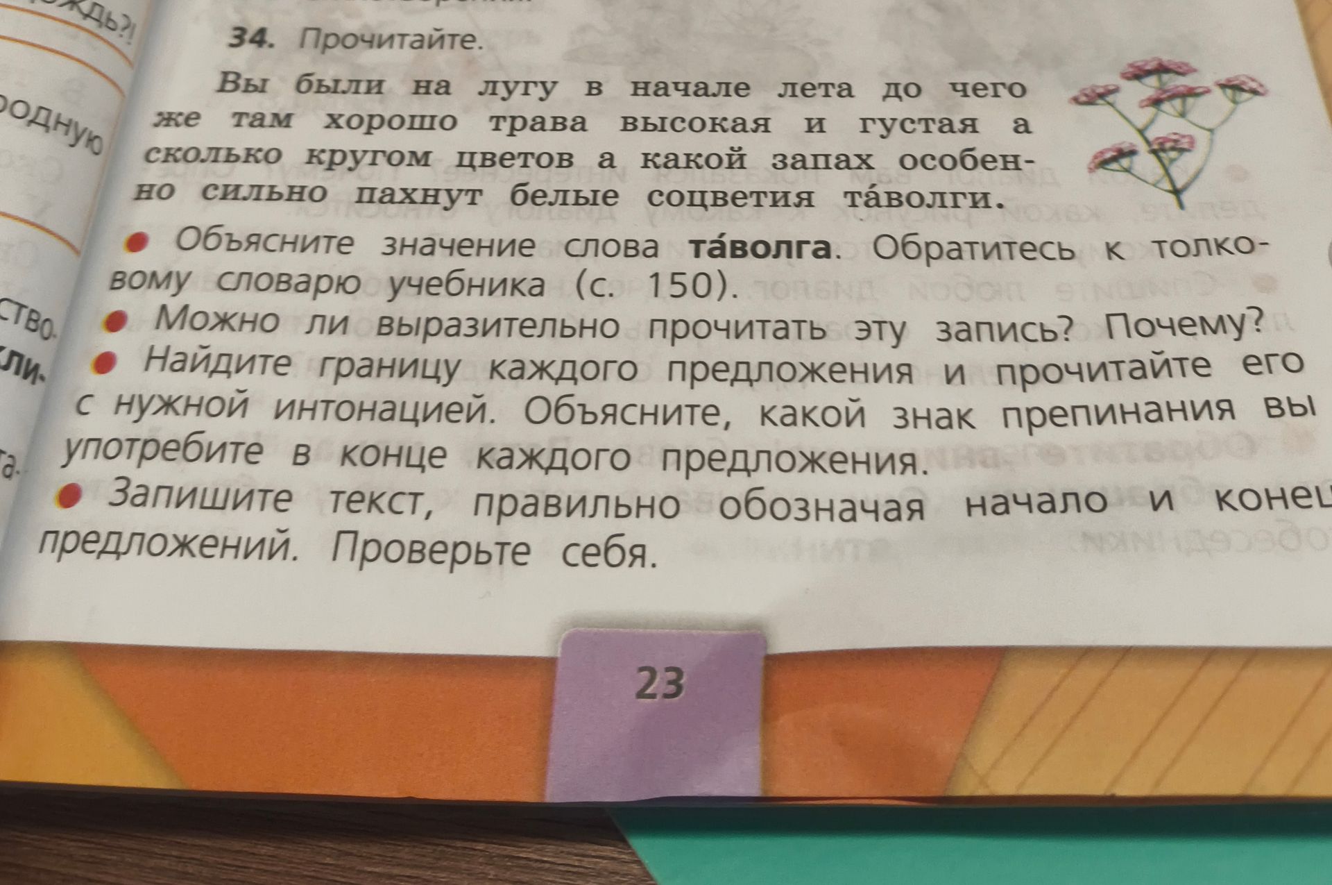 Фото задания: 34. Прочитайте. Вы были на лугу в начале лета до чего же там хорошо трава высокая и густая а сколько кругом цветов а какой…