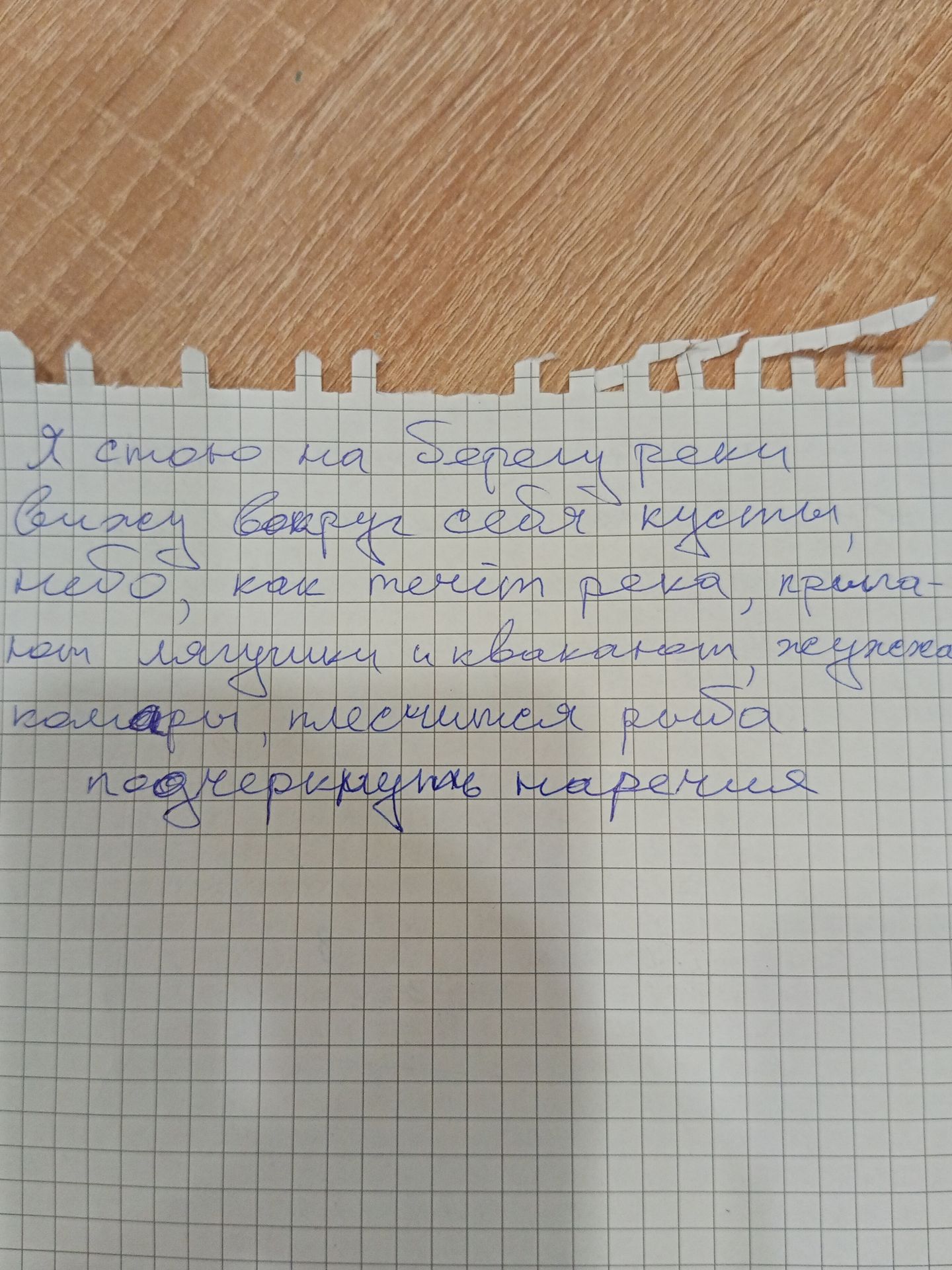 Фото задания: [Задание на фотографии неразборчиво и обрезано.] «Я снова на берегу реки. Вижу вокруг себя кусты, небо, как течёт река,…