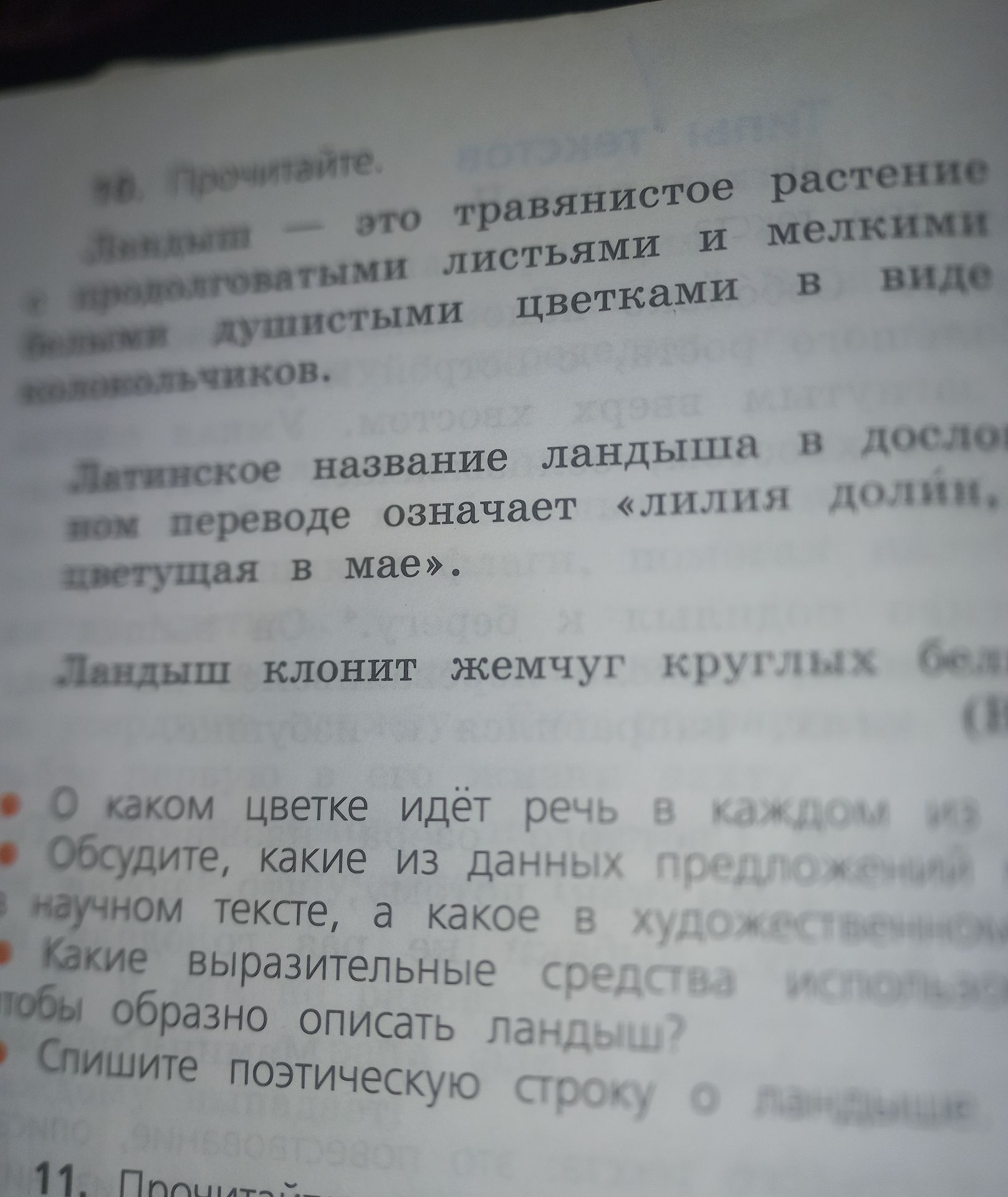 Фото задания: О каком цветке идёт речь в каждом [тексте/предложении]?