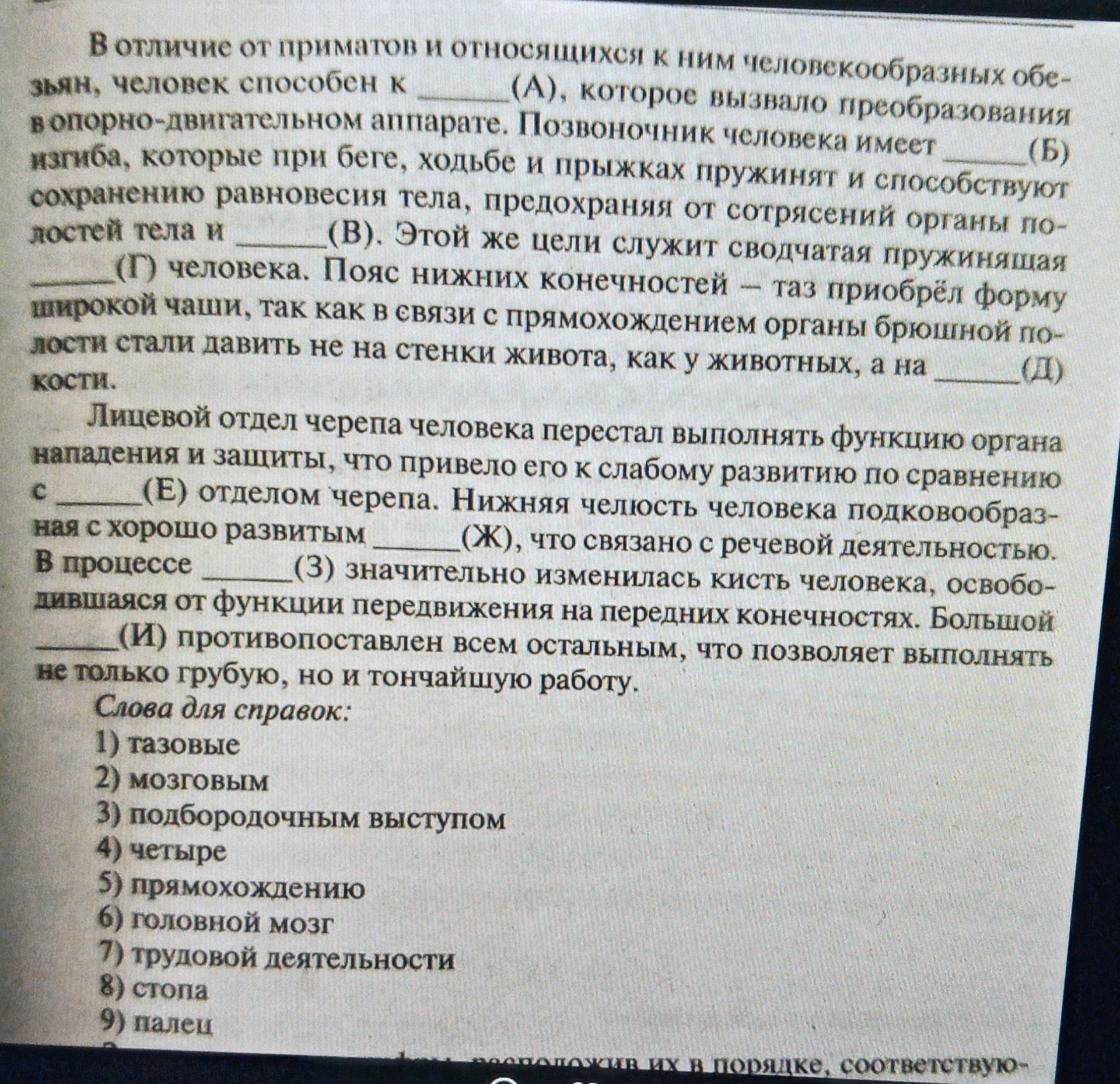 Фото задания: В отличие от приматов и относящихся к ним человекообразных обезьян, человек способен к ______ (А), которое вызвало…