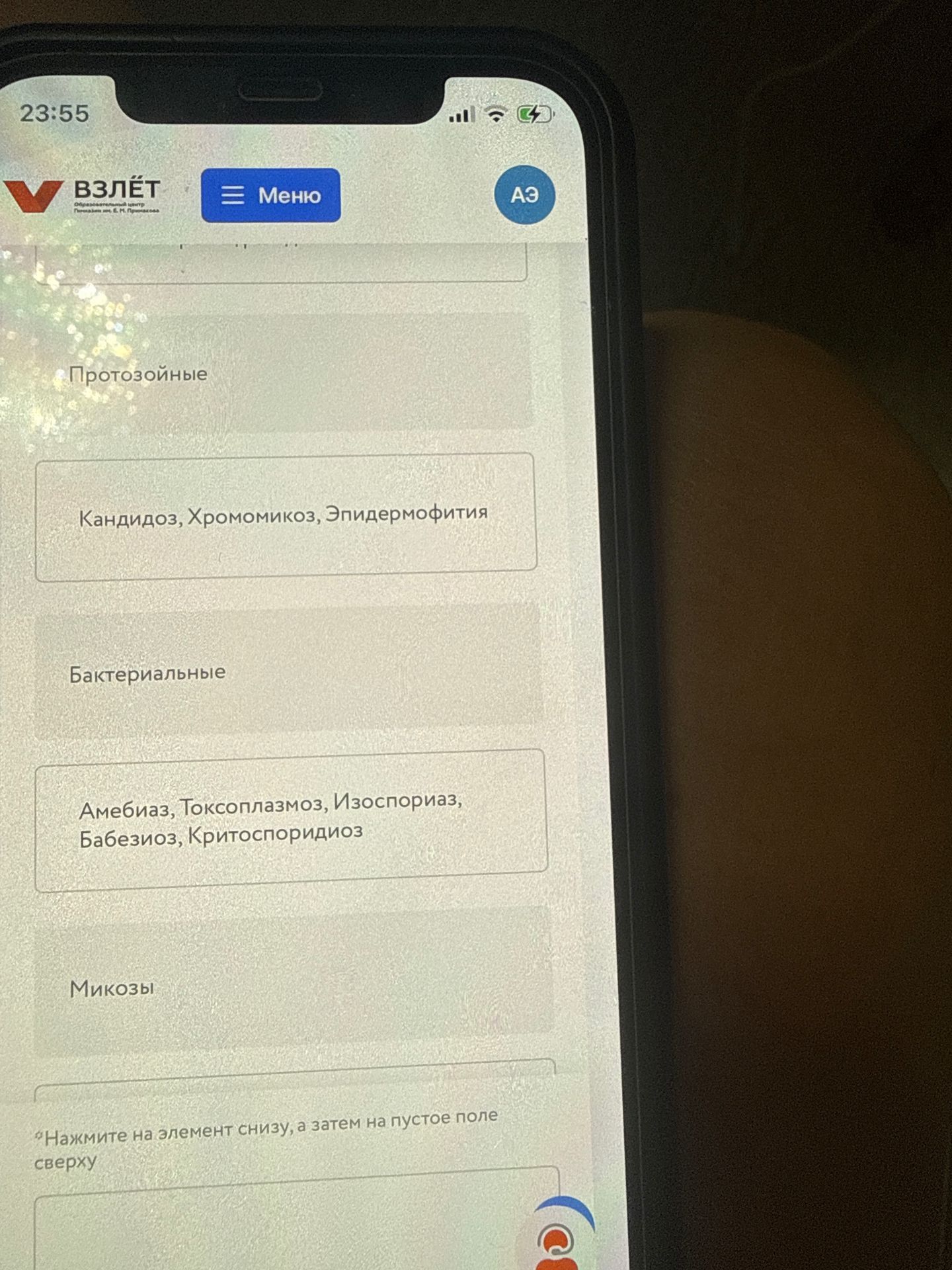 Фото задания: Распределите заболевания по группам: протозойные, бактериальные, микозы. Варианты: «Кандидоз, Хромомикоз, Эпидермофития»;…