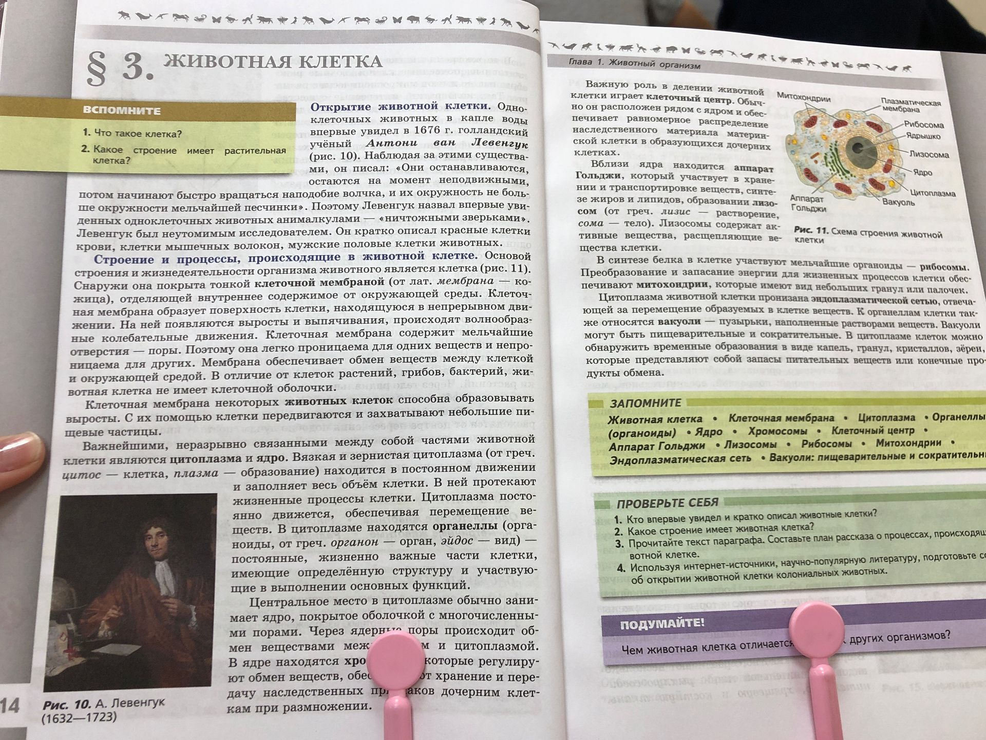 Фото задания: 1. Что такое клетка?