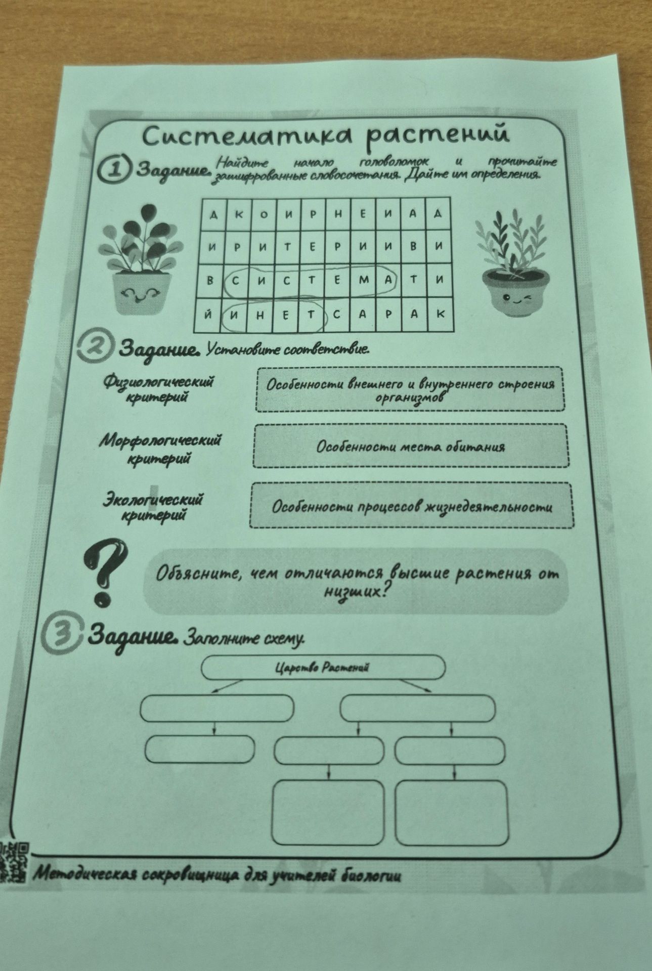 Фото задания: 3. Заполните схему: Царство Растений.