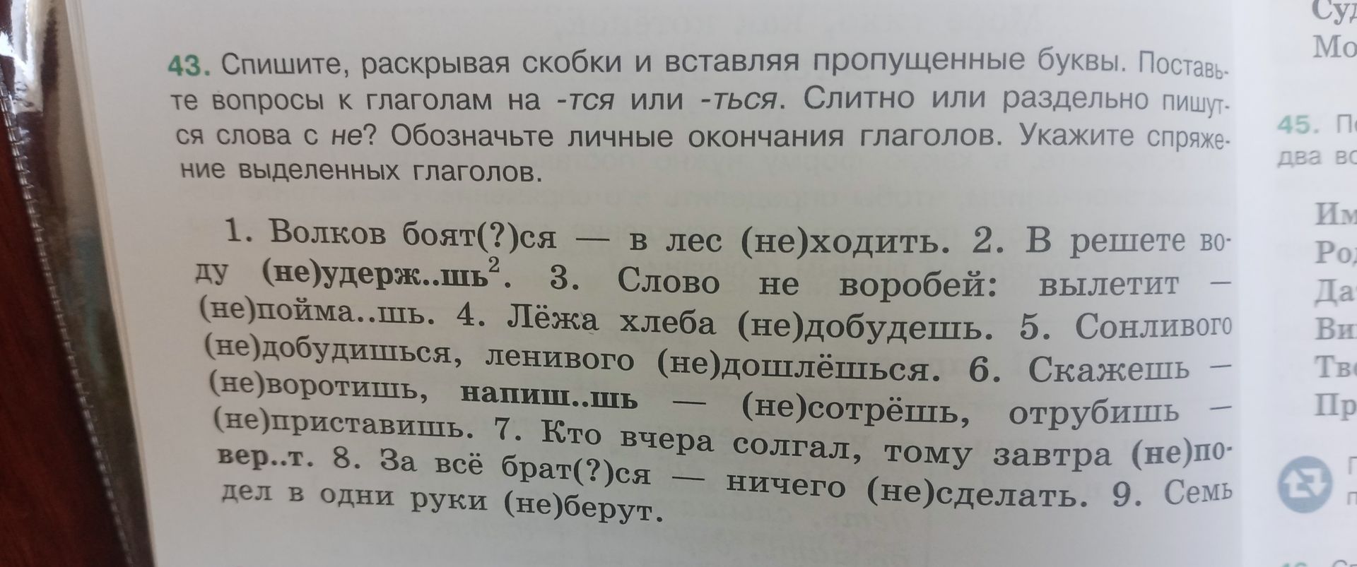 Фото задания: 1. Волков бояться — в лес не ходить.