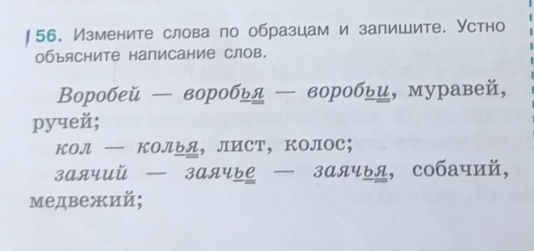 Фото задания: 56. Измените слова по образцам и запишите. Устно объясните написание слов. Воробей — воробья — воробью, муравей, ручей; кол —…